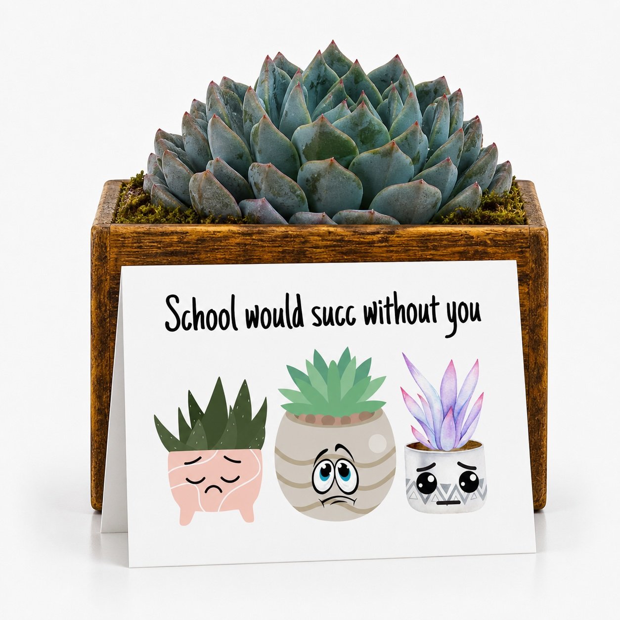 Funny Teacher Gift - Succulent with Card | School Would Succ Without You