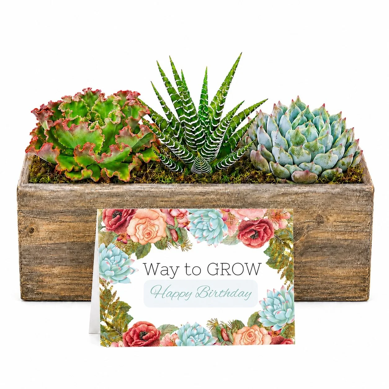way to grow - arrangement.jpg