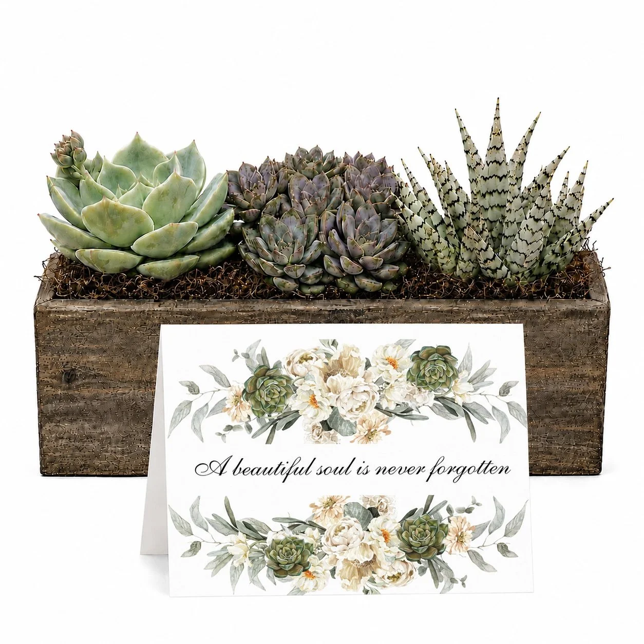 A Beautiful Soul Is Never Forgotten | Succulent Arrangement Gift