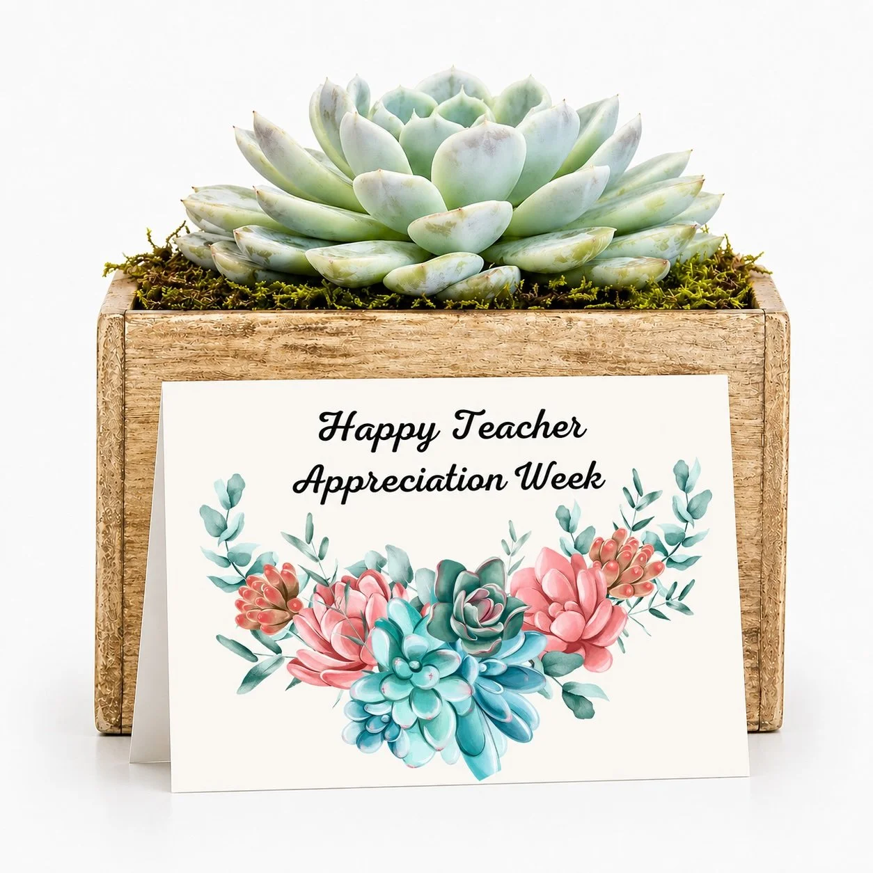 Wp - Teacher Appreciation Week.jpg