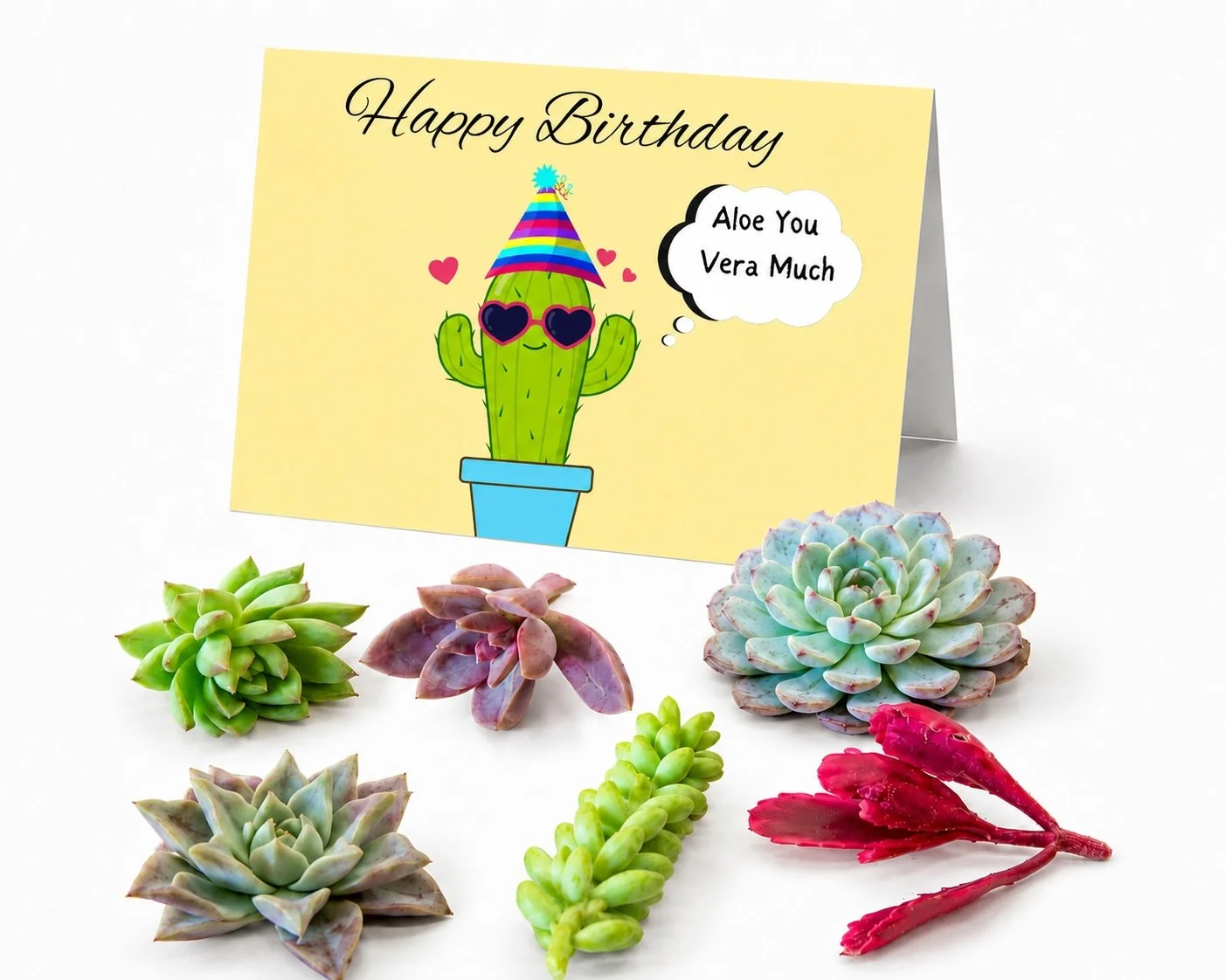 Main Happy Bday Aloe You.jpg