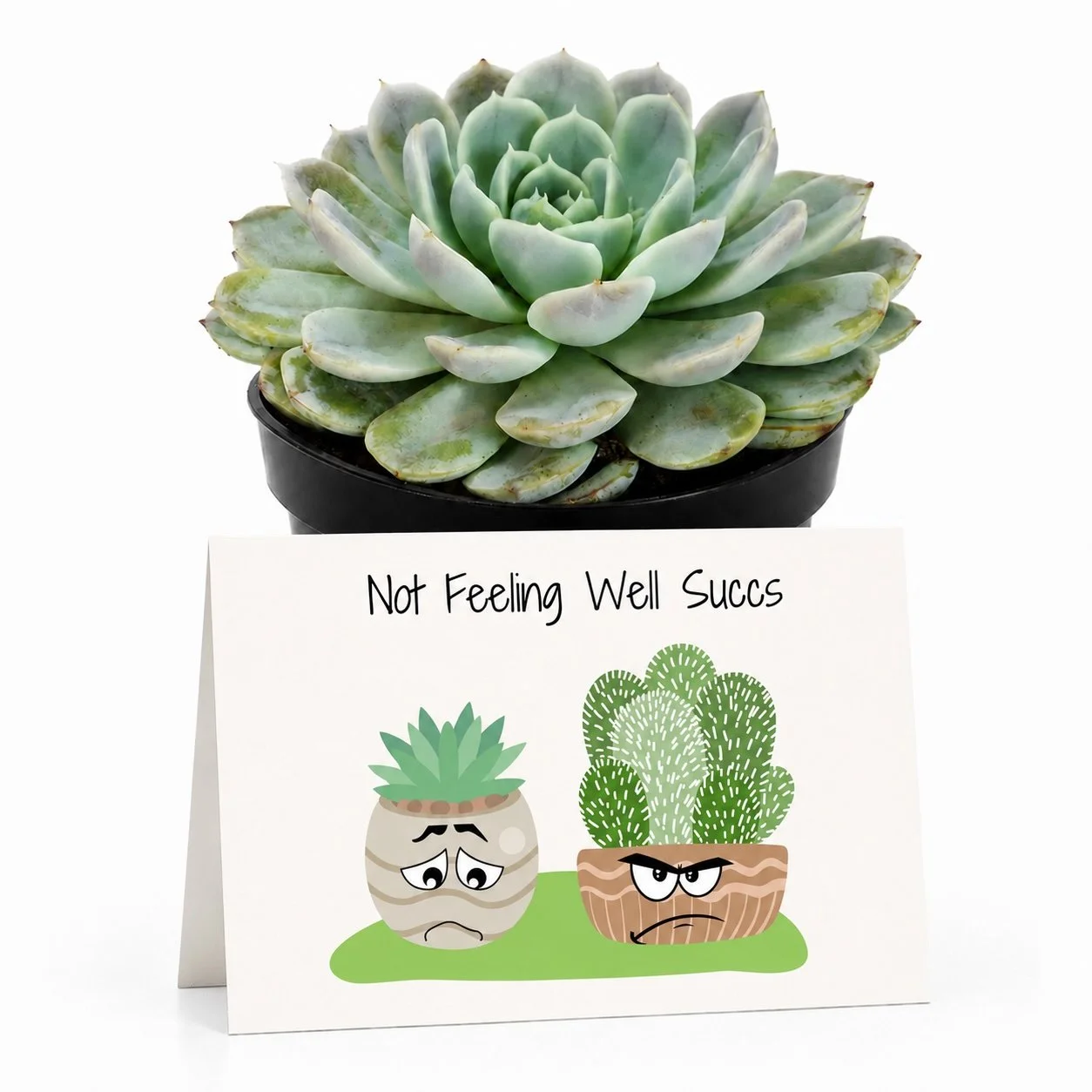 PP Not feeling well succs.jpg