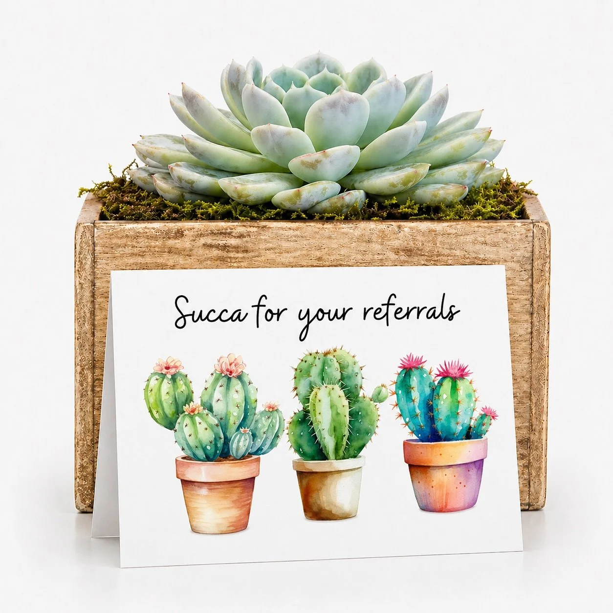 Succa for referrals.jpg