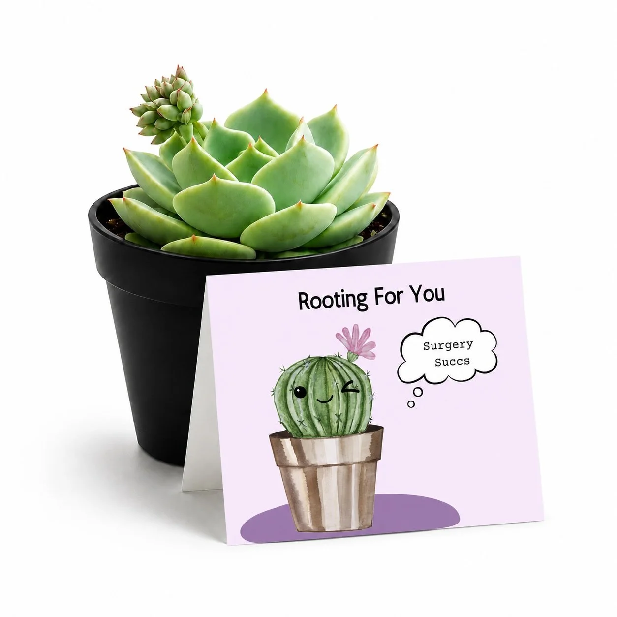 PP Rooting for surgery succs.jpg