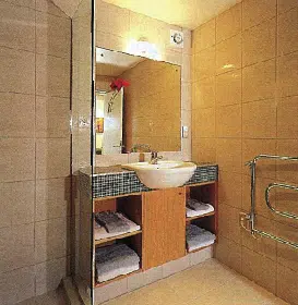 birdwood-crescent-parnell-auckland-renovation-project-management 6.png