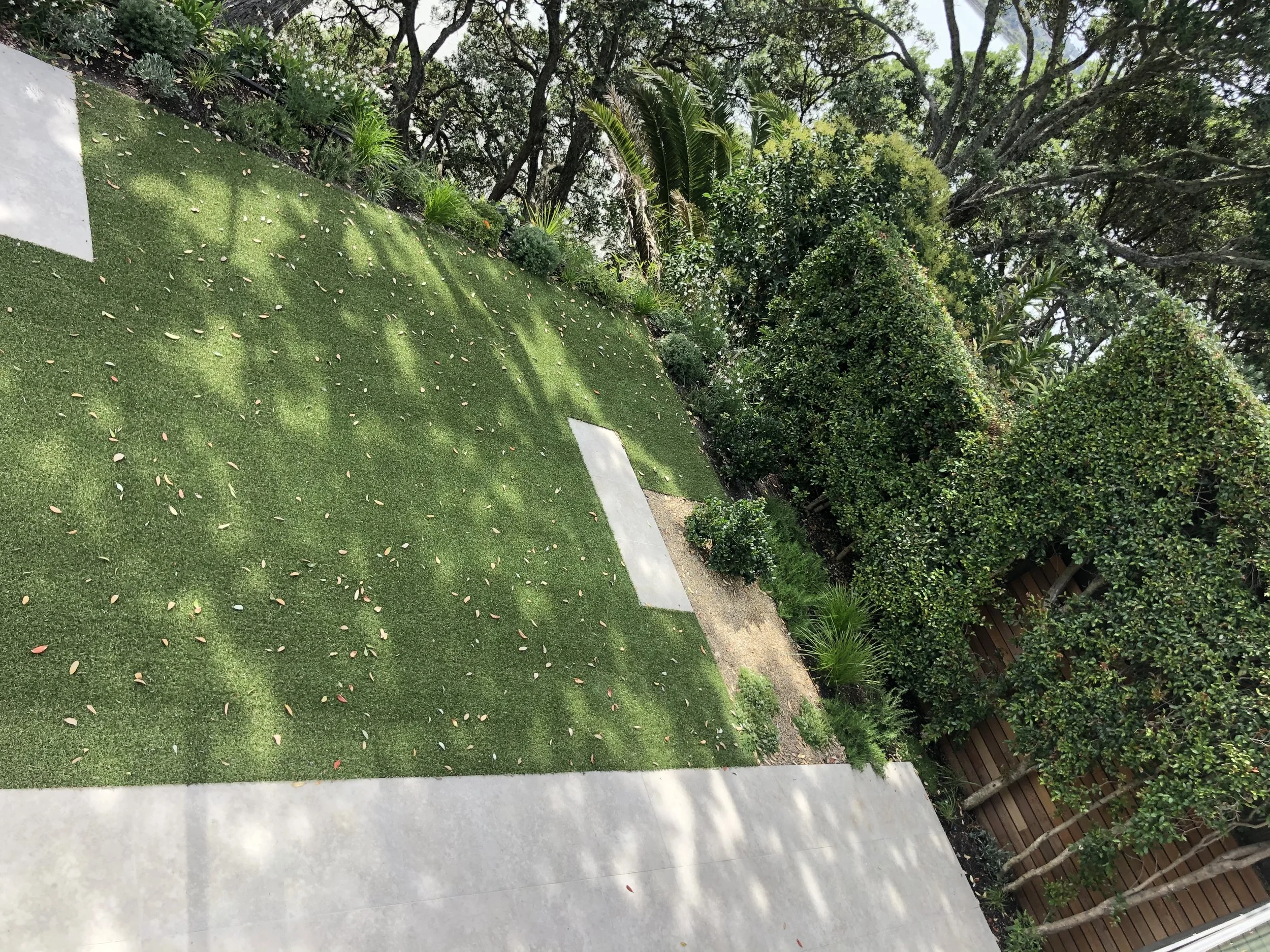 awatea-road-parnell-auckland-renovation-project-management 11.jpeg