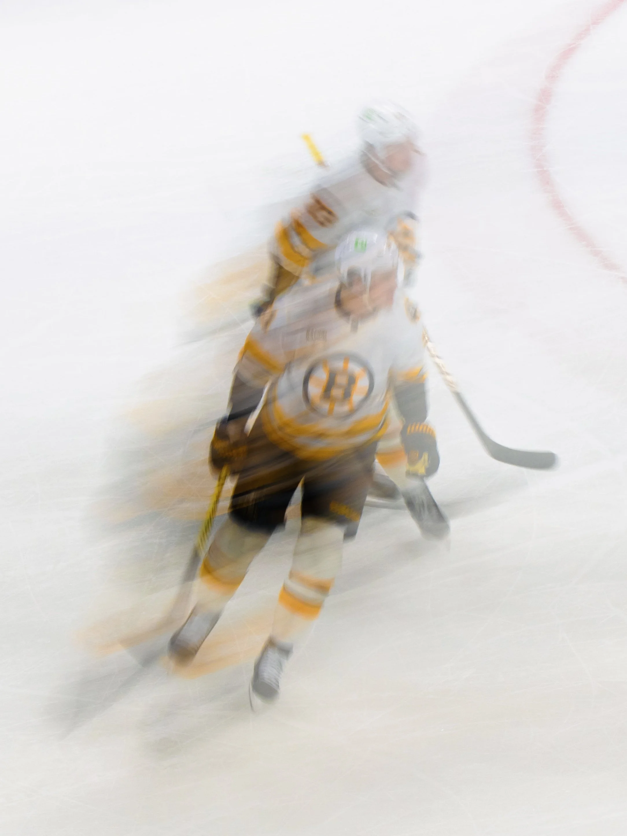 canes-5 2.jpg