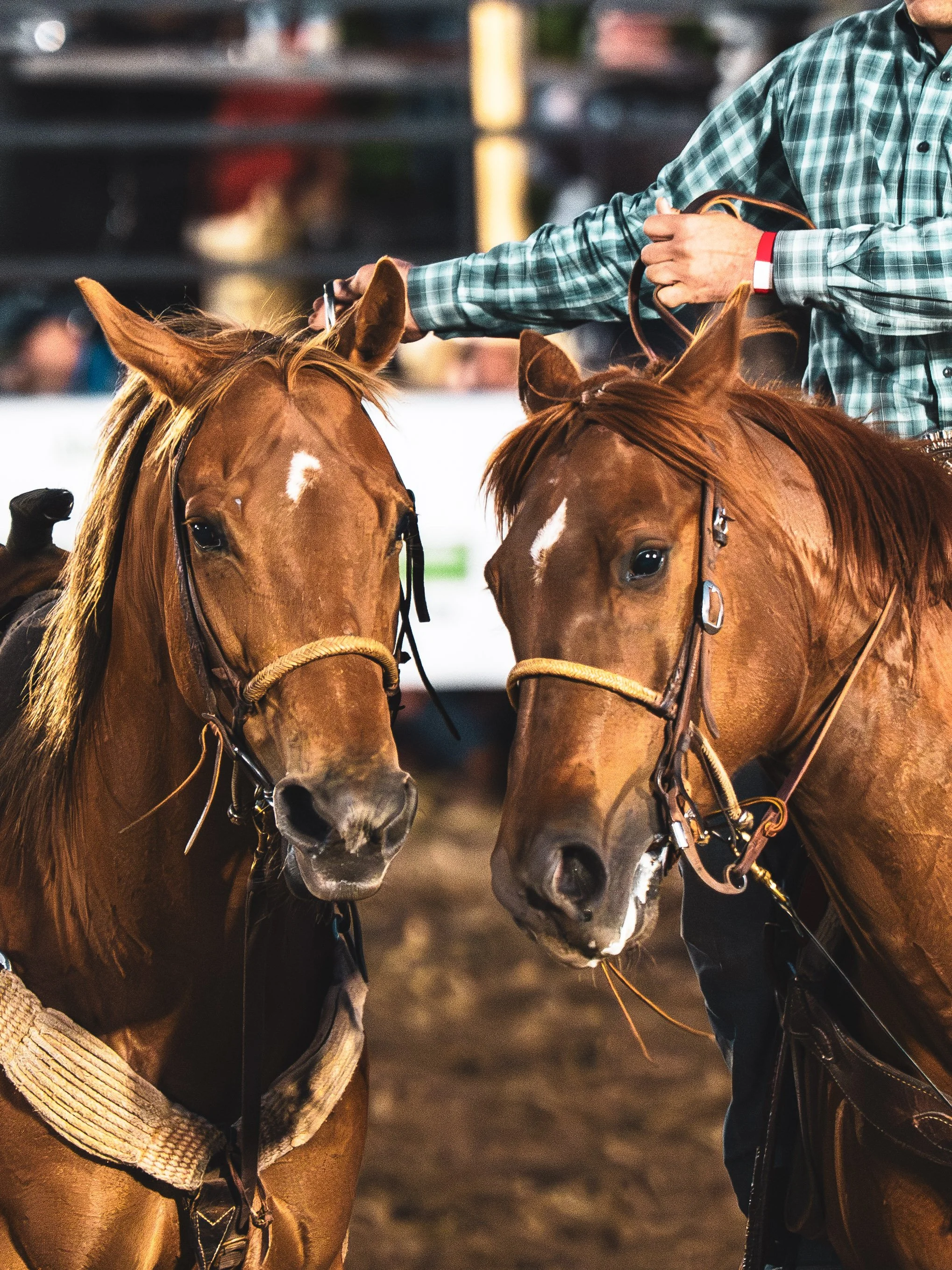 more carthage rodeo-5.JPG