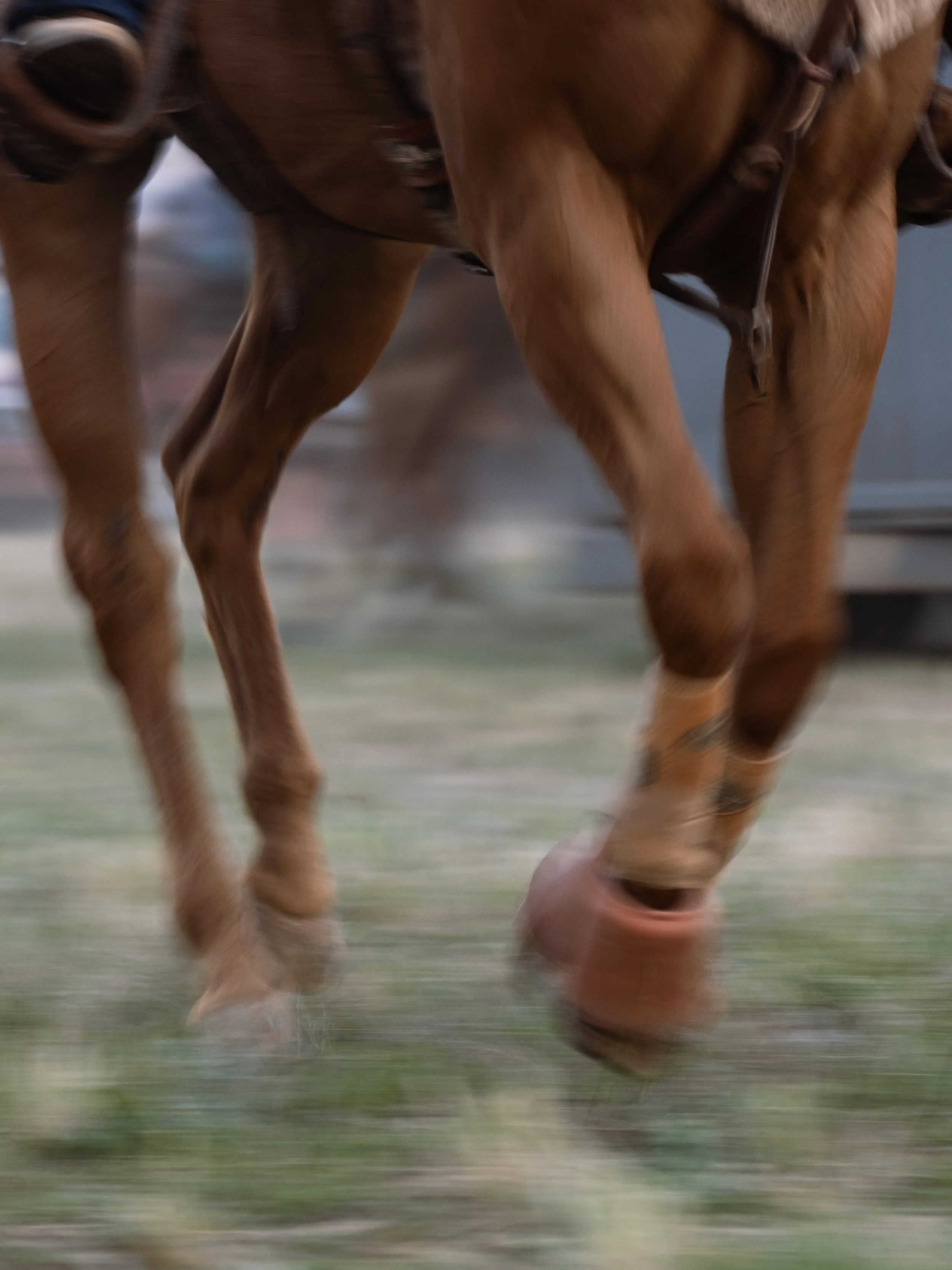 Carthage Rodeo-23.jpg
