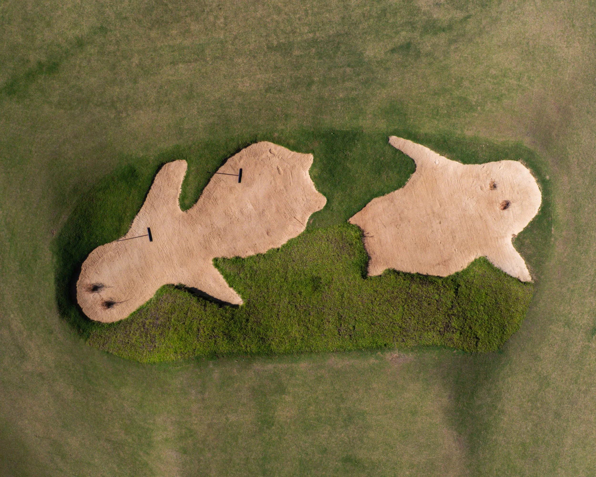 Old Barnwell July 2025-072.jpg