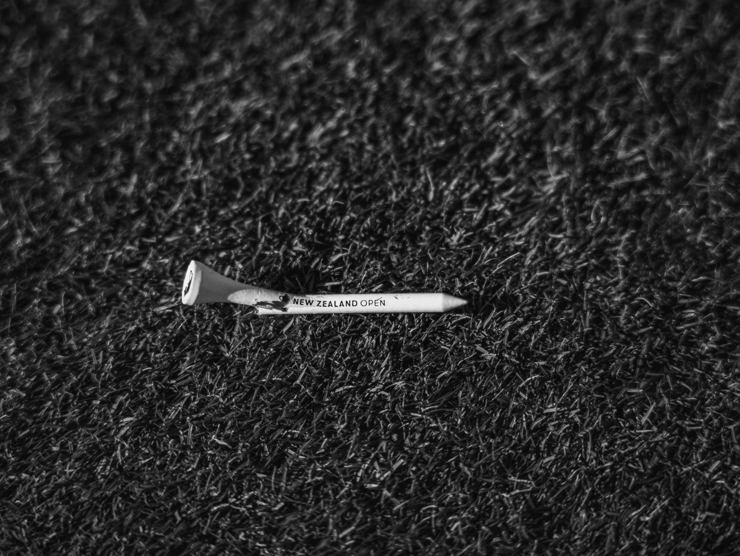 2025 #NZOpen_MogieAdamchik_ FridayMorning-016.jpg