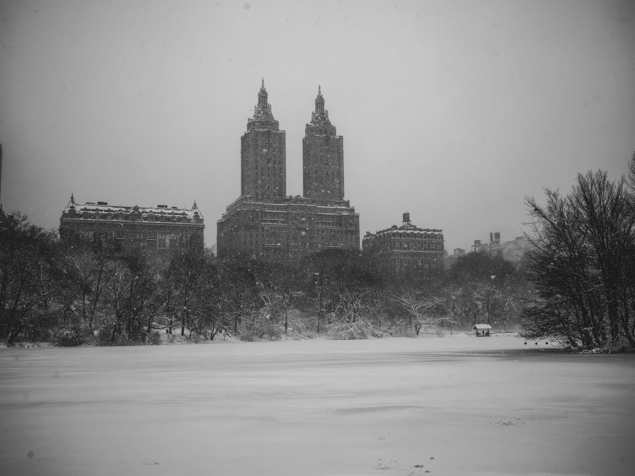 NYC Blizzard 2026-40.jpg