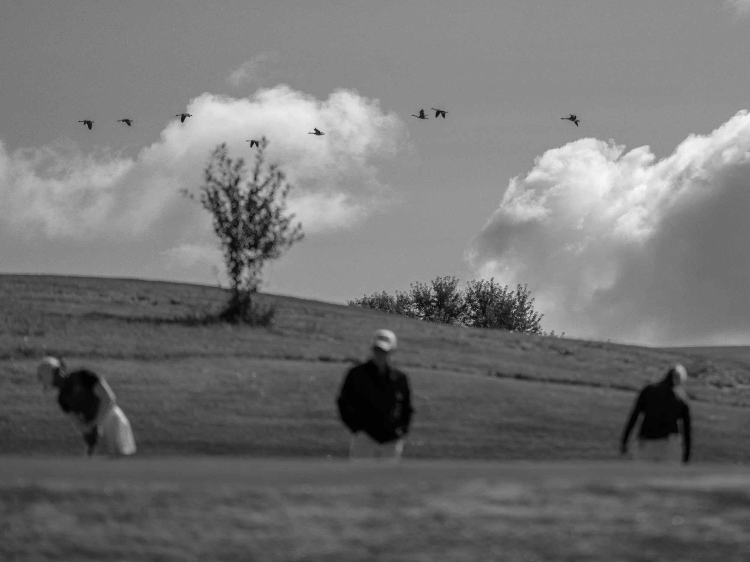 Annika Intercollegiate 2025 ALL Selects-035.jpg