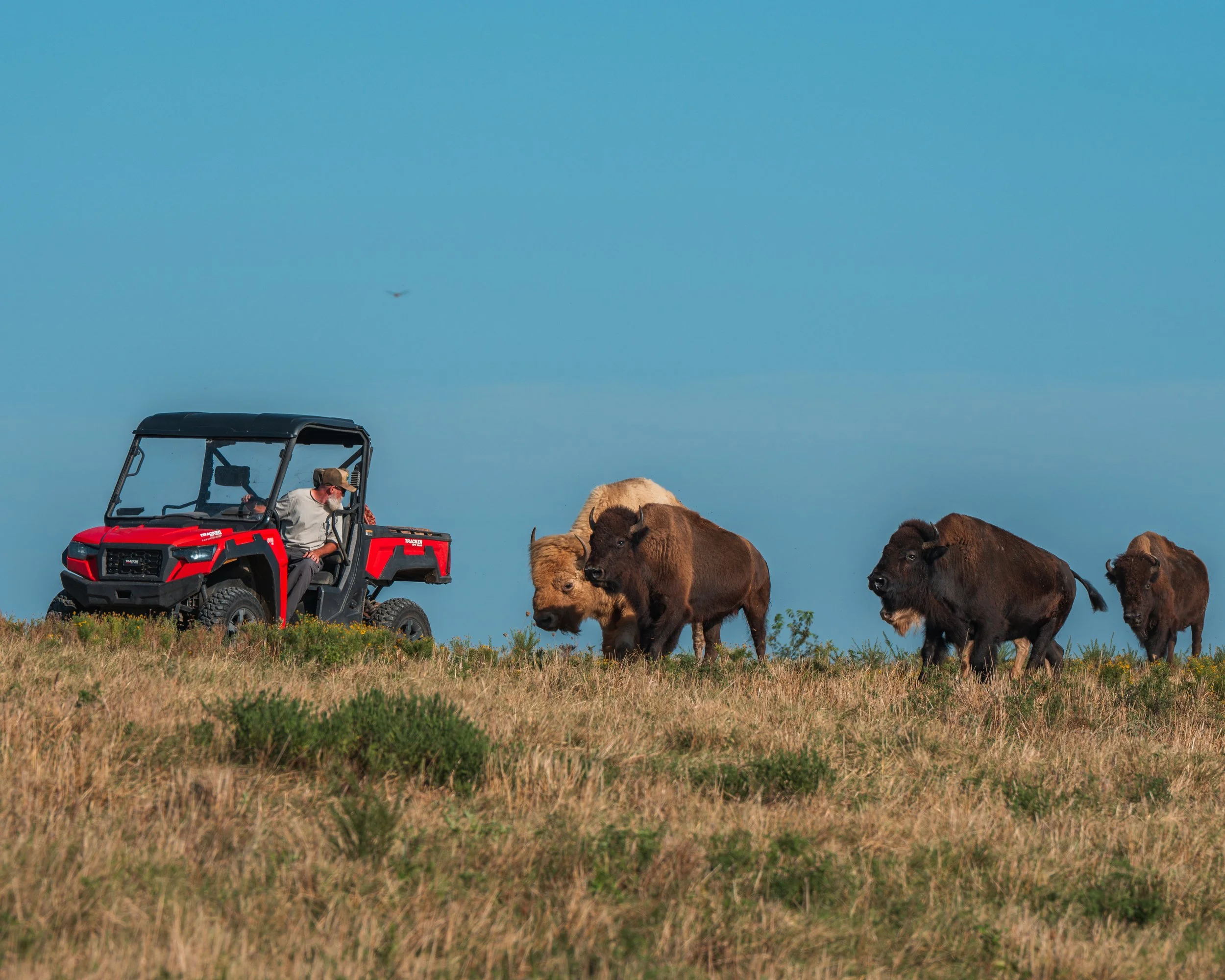 Internet Invitational 2025-247.jpg