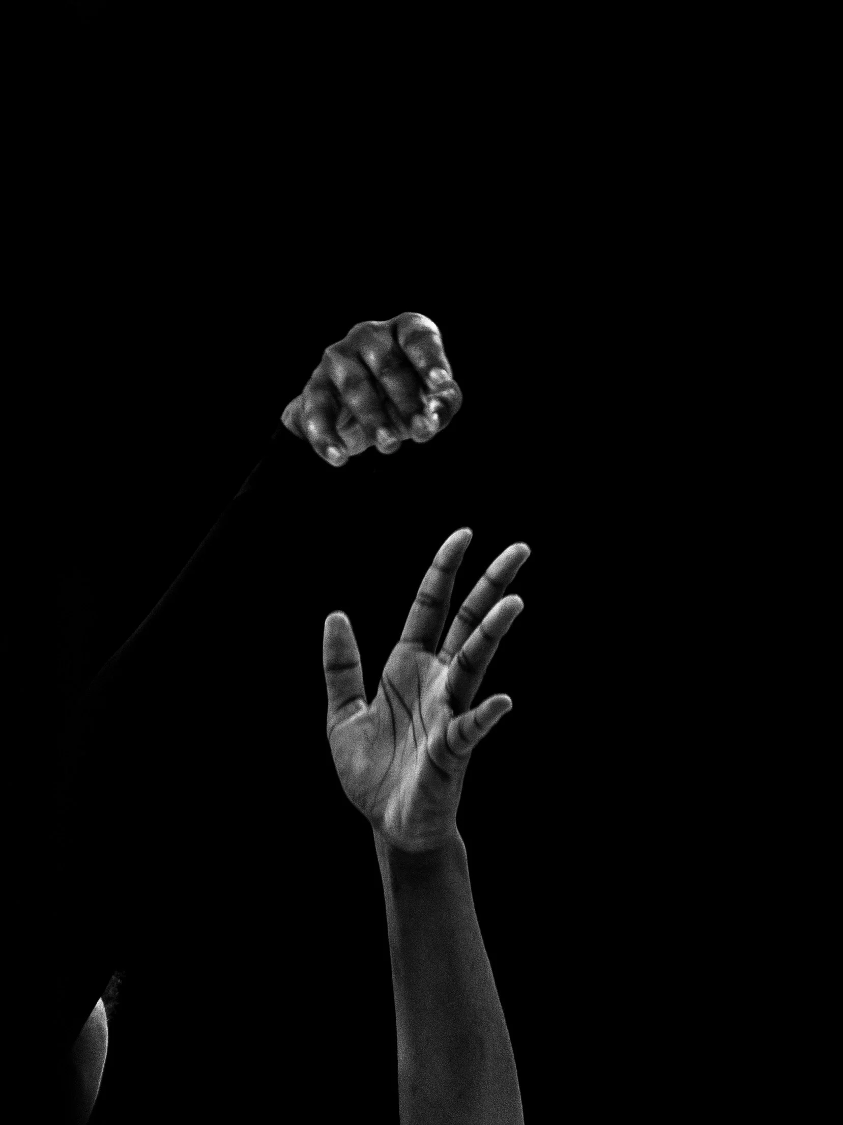 UNC WBB v CSU-75.jpg