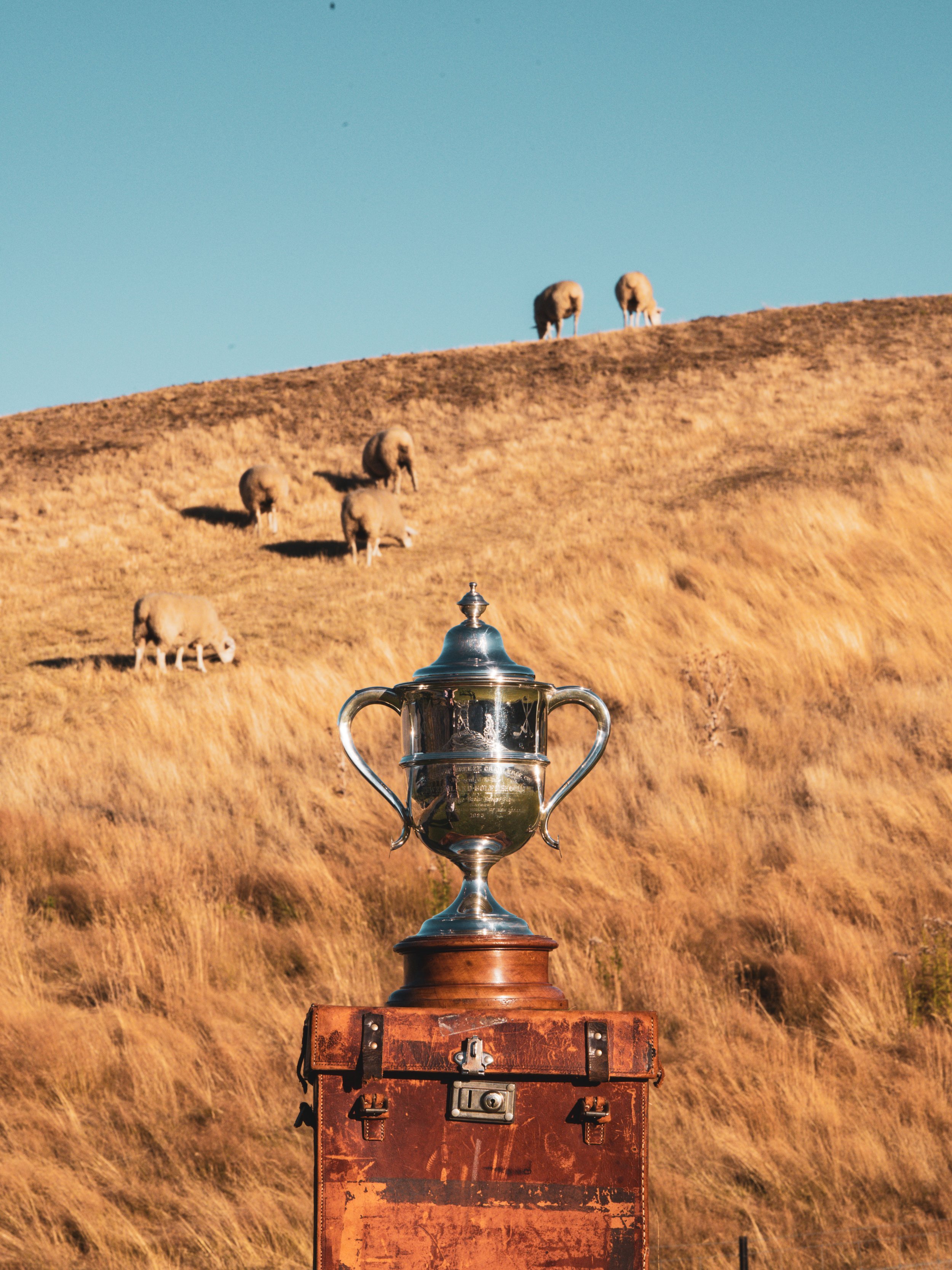 2025 #NZOpen_MogieAdamchik_TrophyScenics-22.jpg