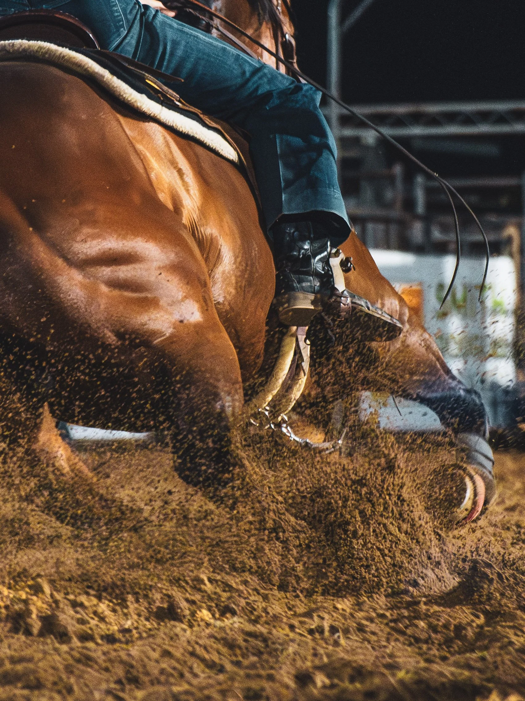 more carthage rodeo-12.JPG