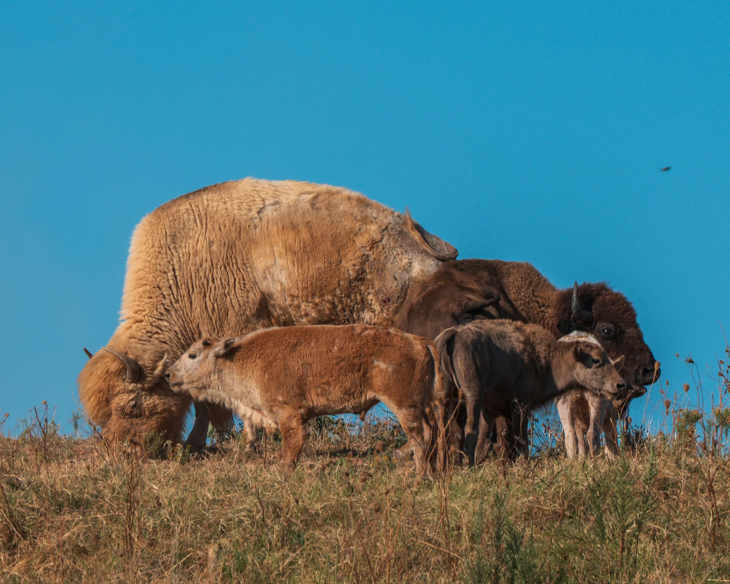 Internet Invitational 2025-248.jpg