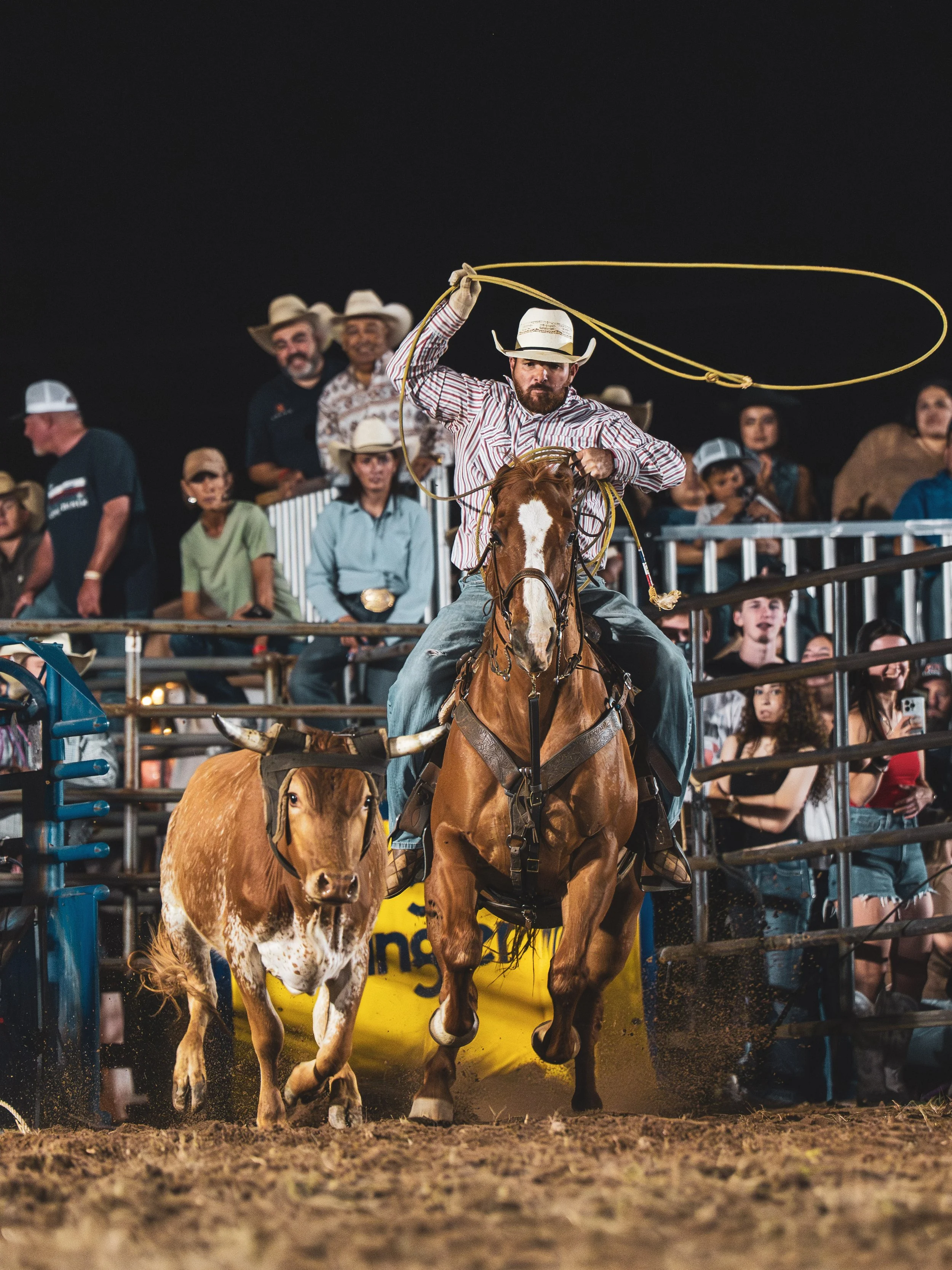 more carthage rodeo-14.JPG
