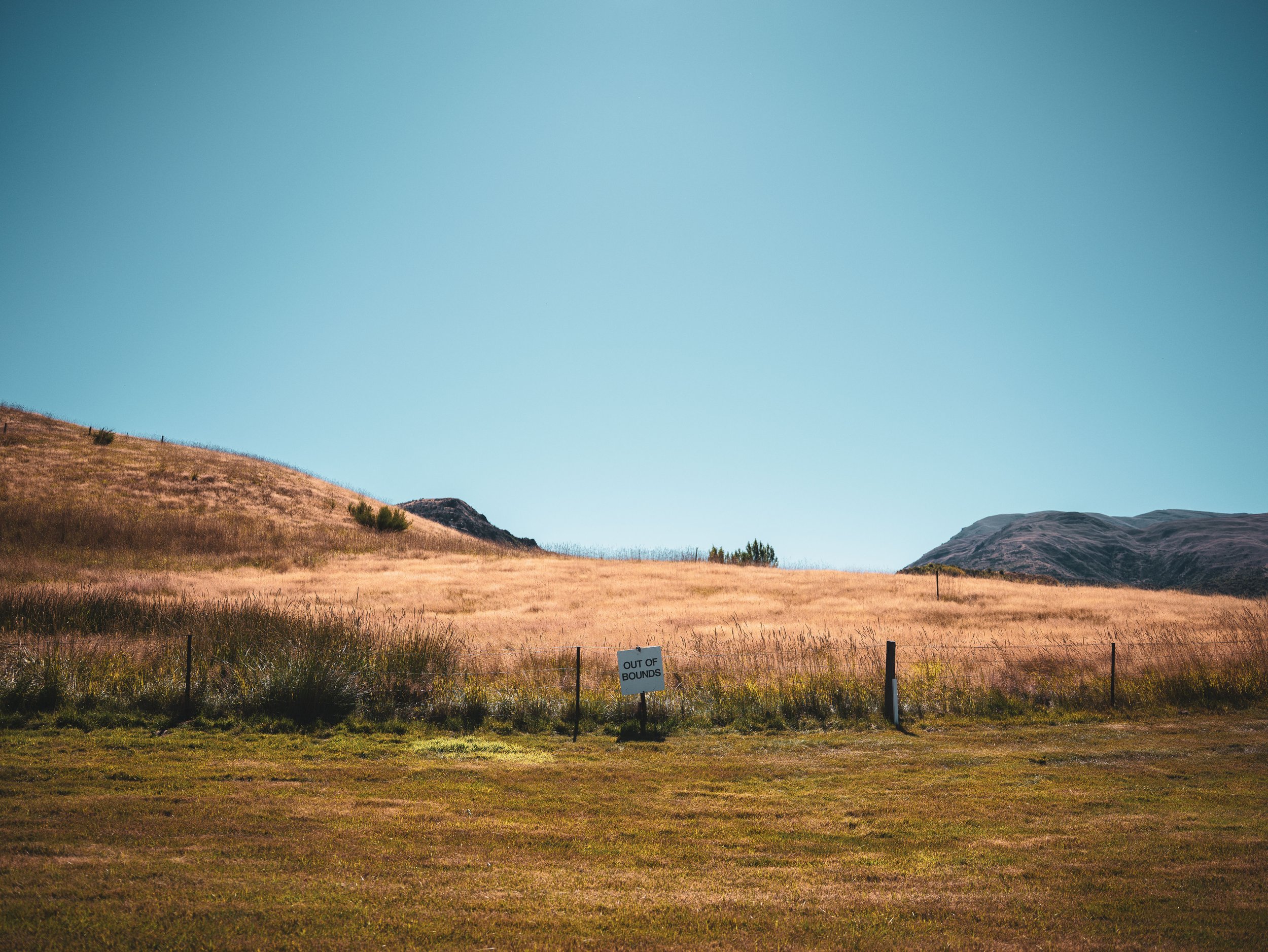NZ Open 2025-04.jpg