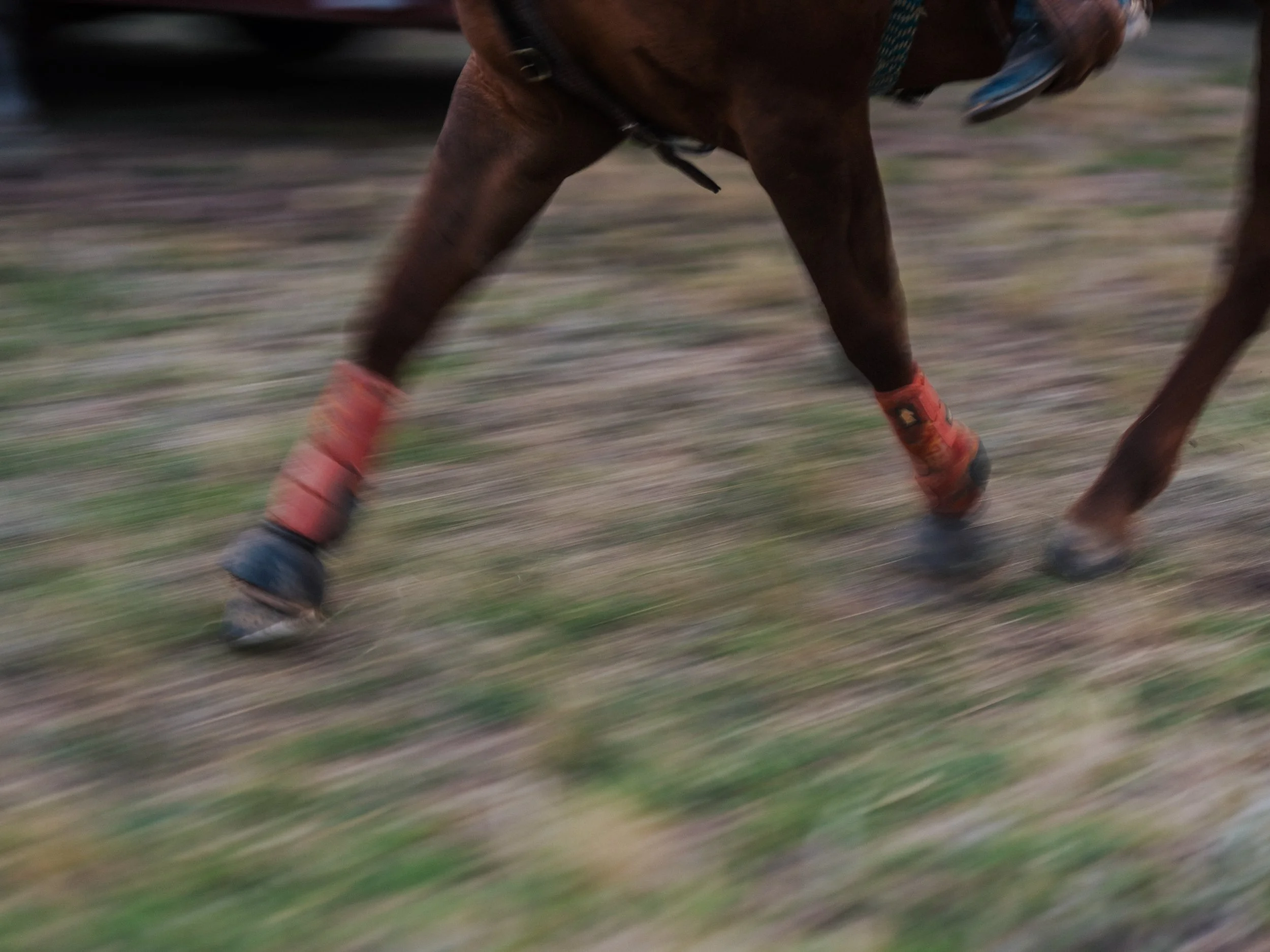 Carthage Rodeo-22.JPG