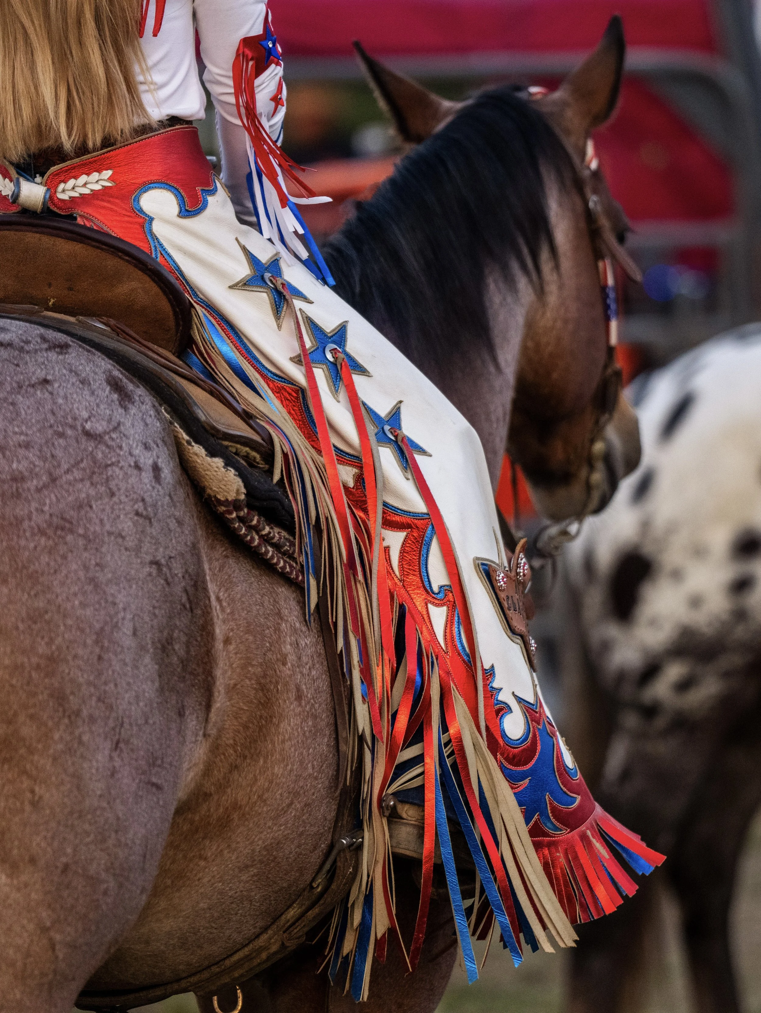 Carthage Rodeo-13.jpg