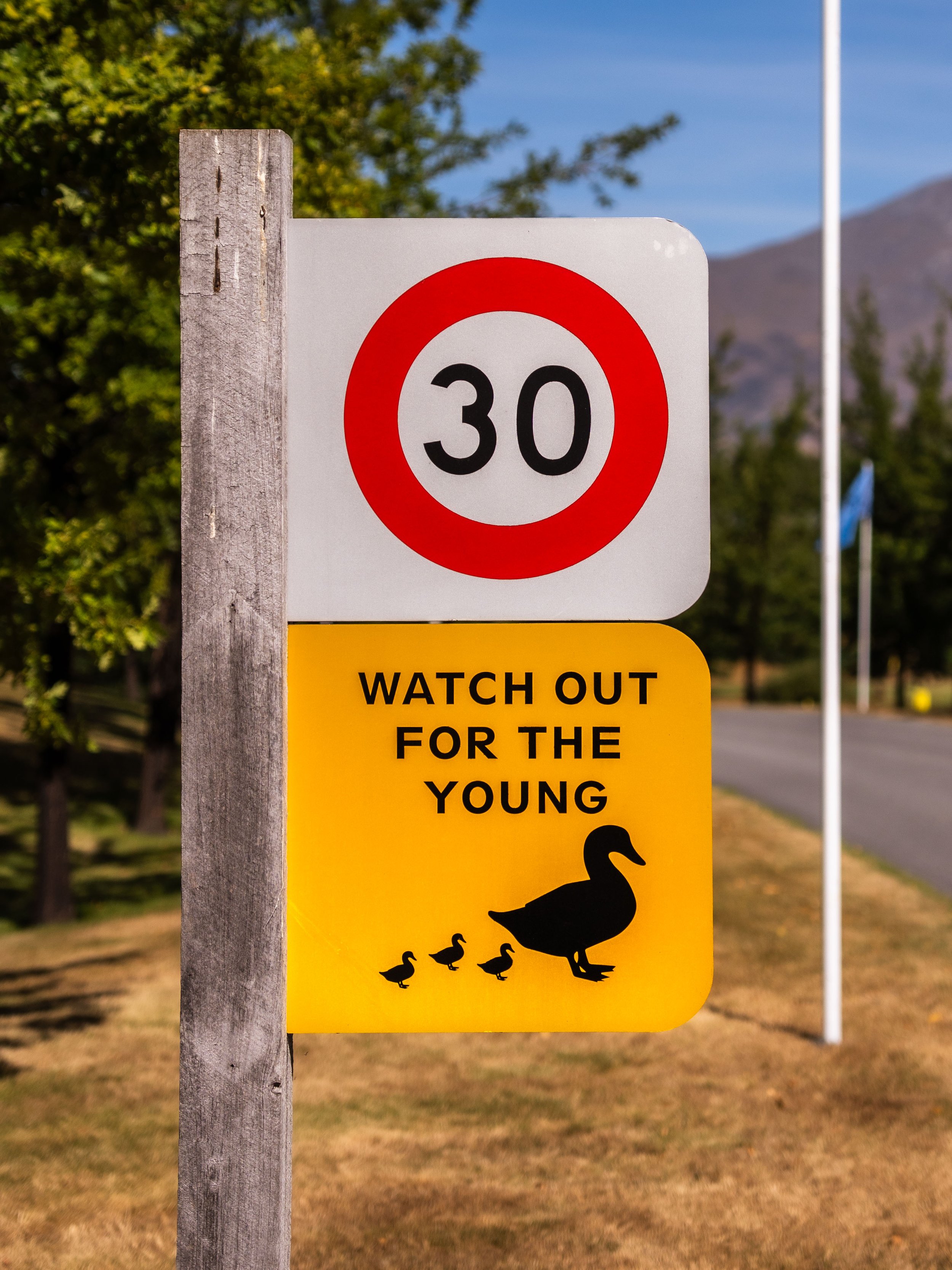 2025 #NZOpen_MogieAdamchik_Monday-064 2.jpg