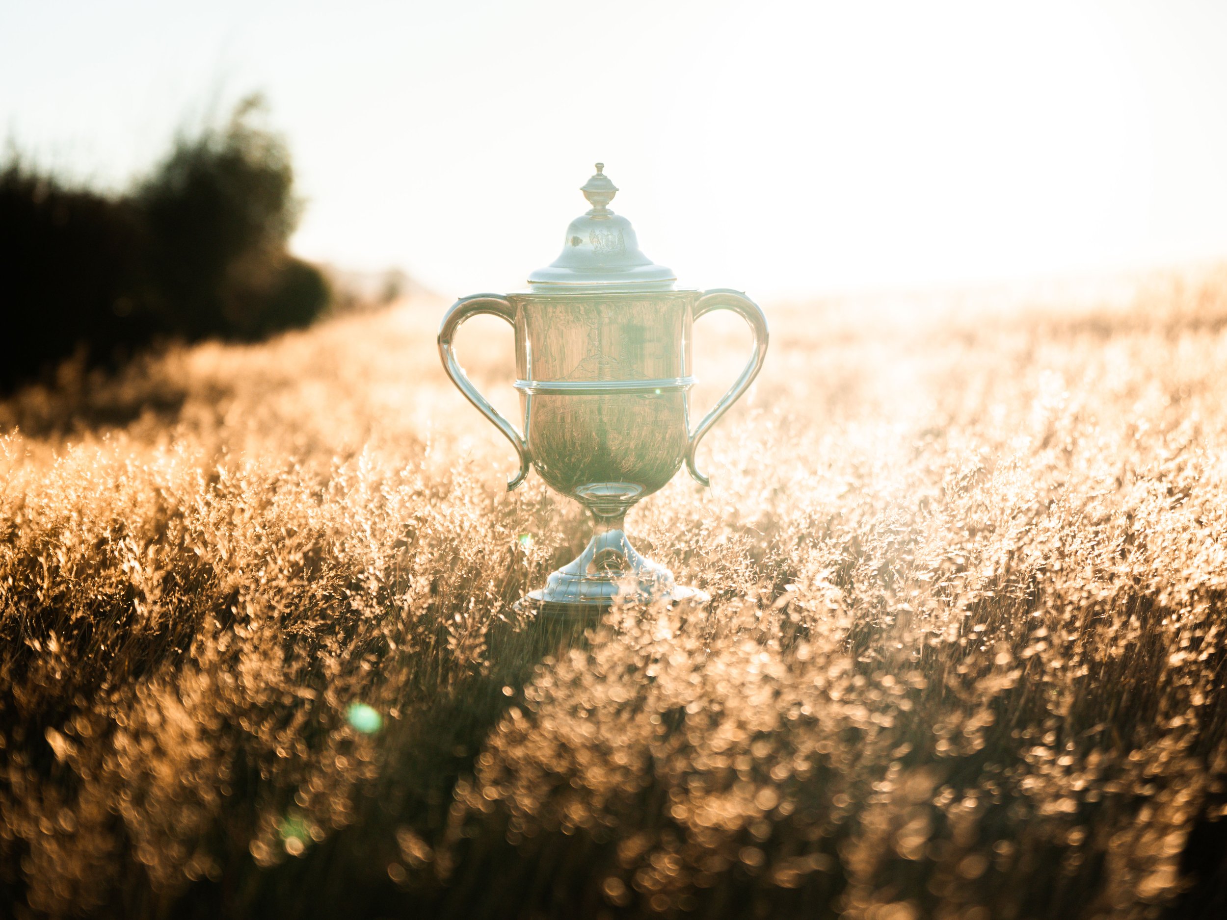 2025 #NZOpen_MogieAdamchik_TrophyScenics-39.jpg