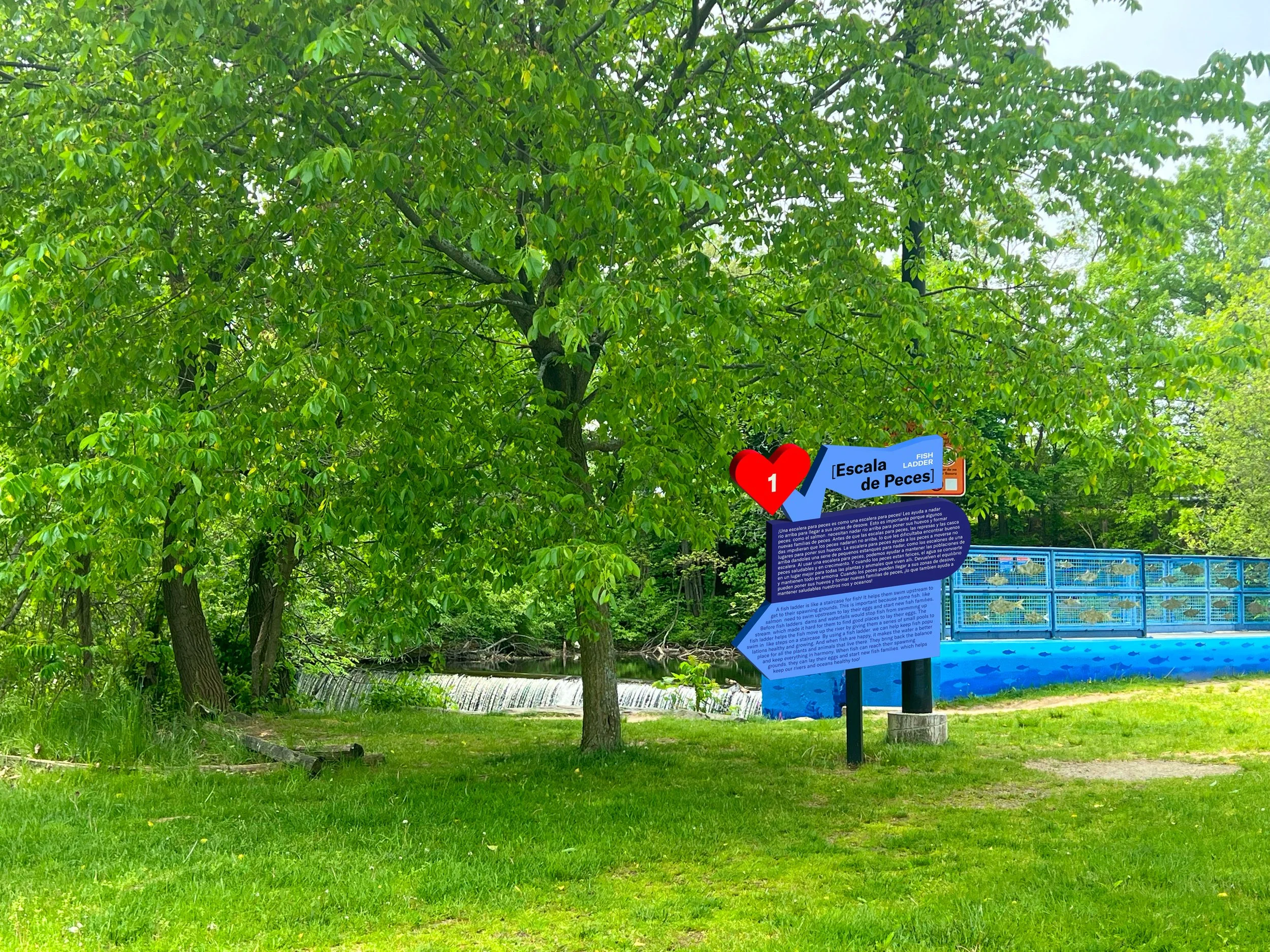 fish ladder.jpg