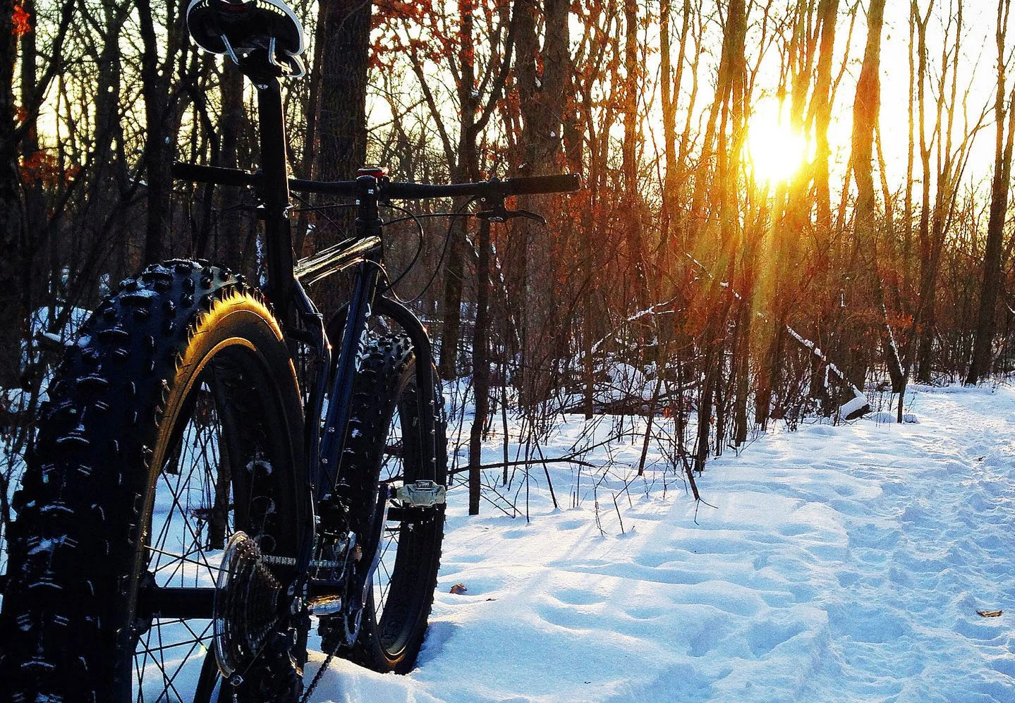 Cold Rolled Fatbike Fest