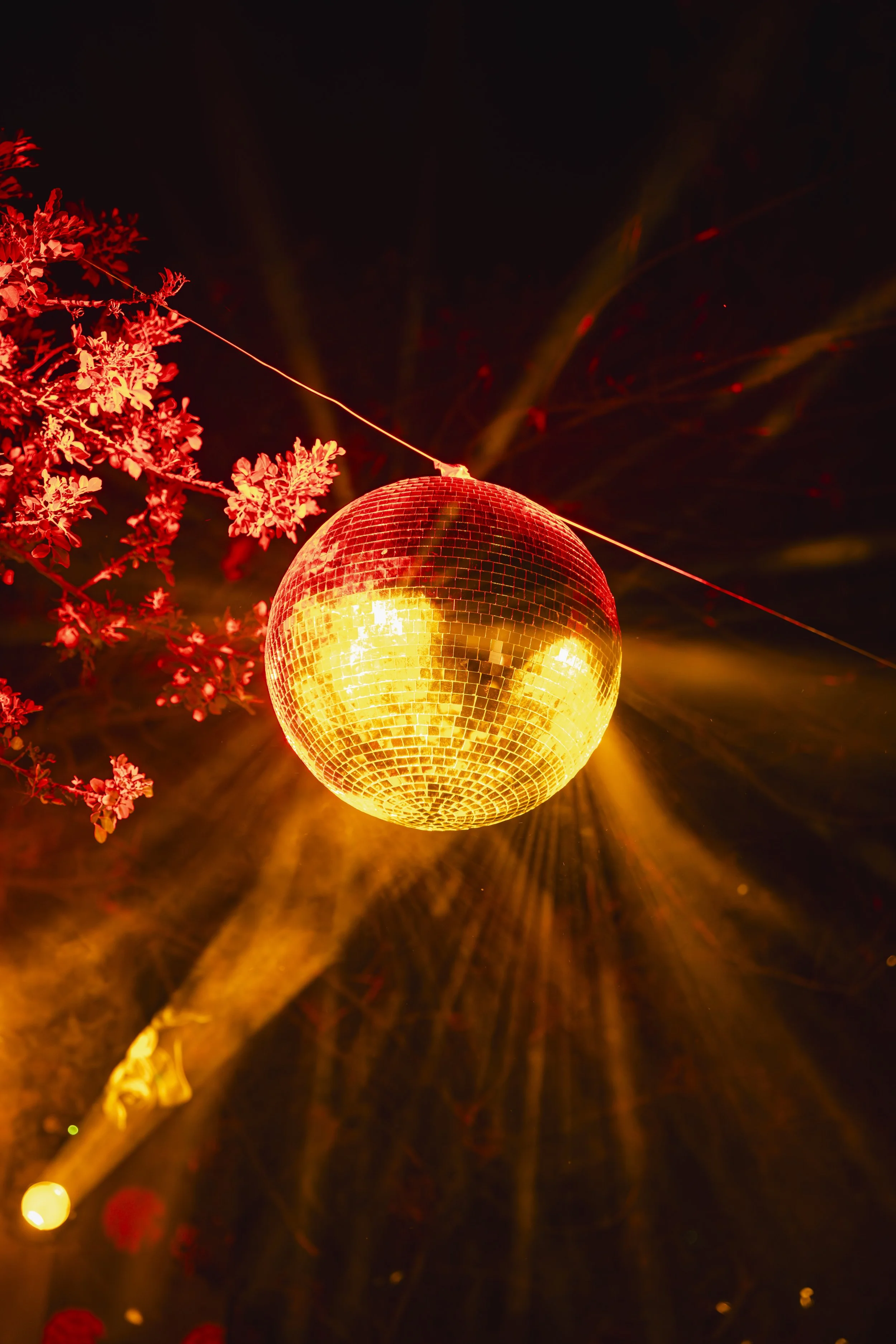 C.Ayoubelbardii_DIASPORA SALOON_103.jpg