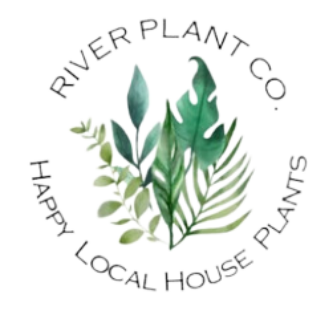 Pop Up at River Plant Co