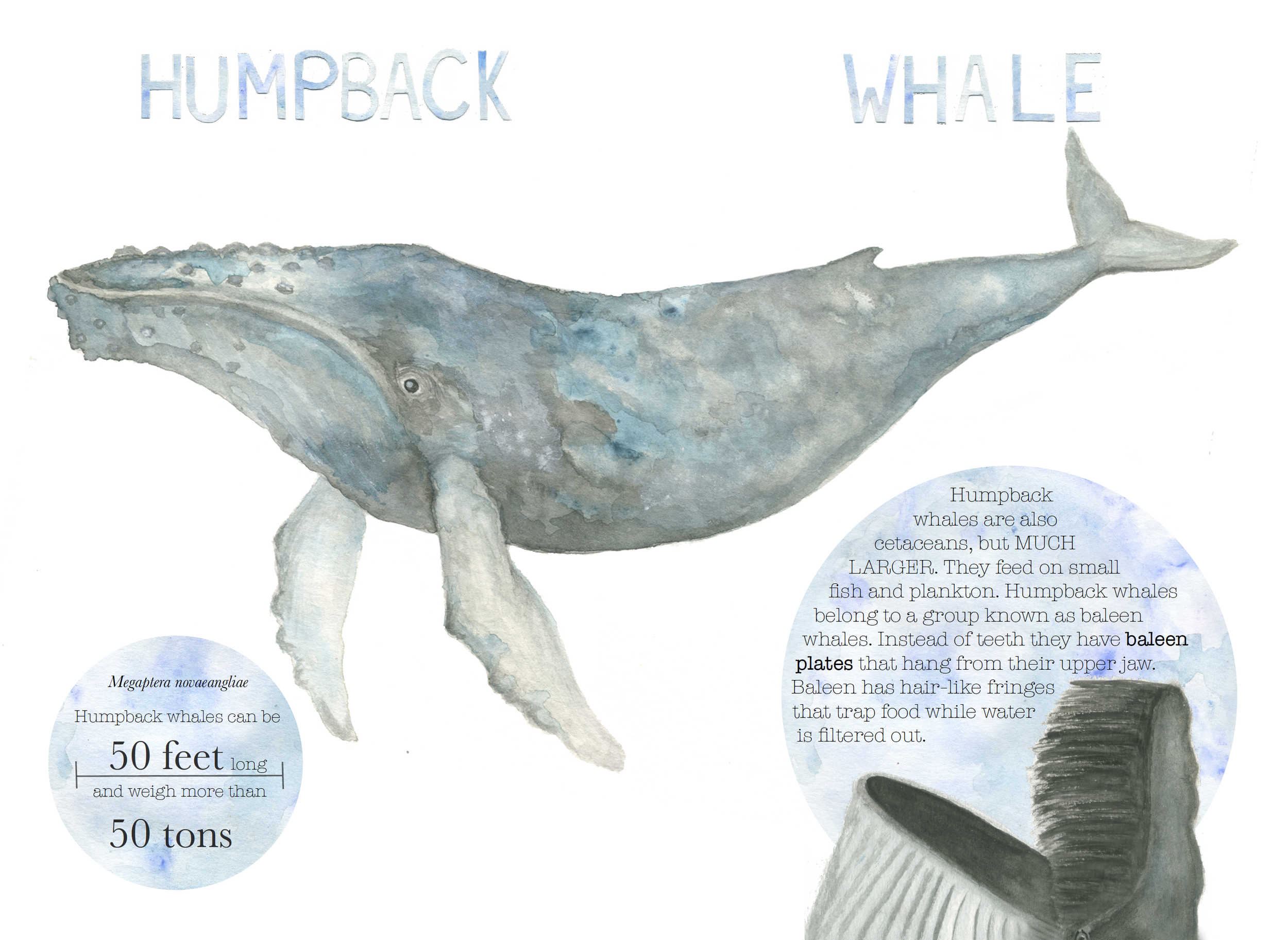 Screen Shot 2020-05-29 at 6.36.37 PM.png