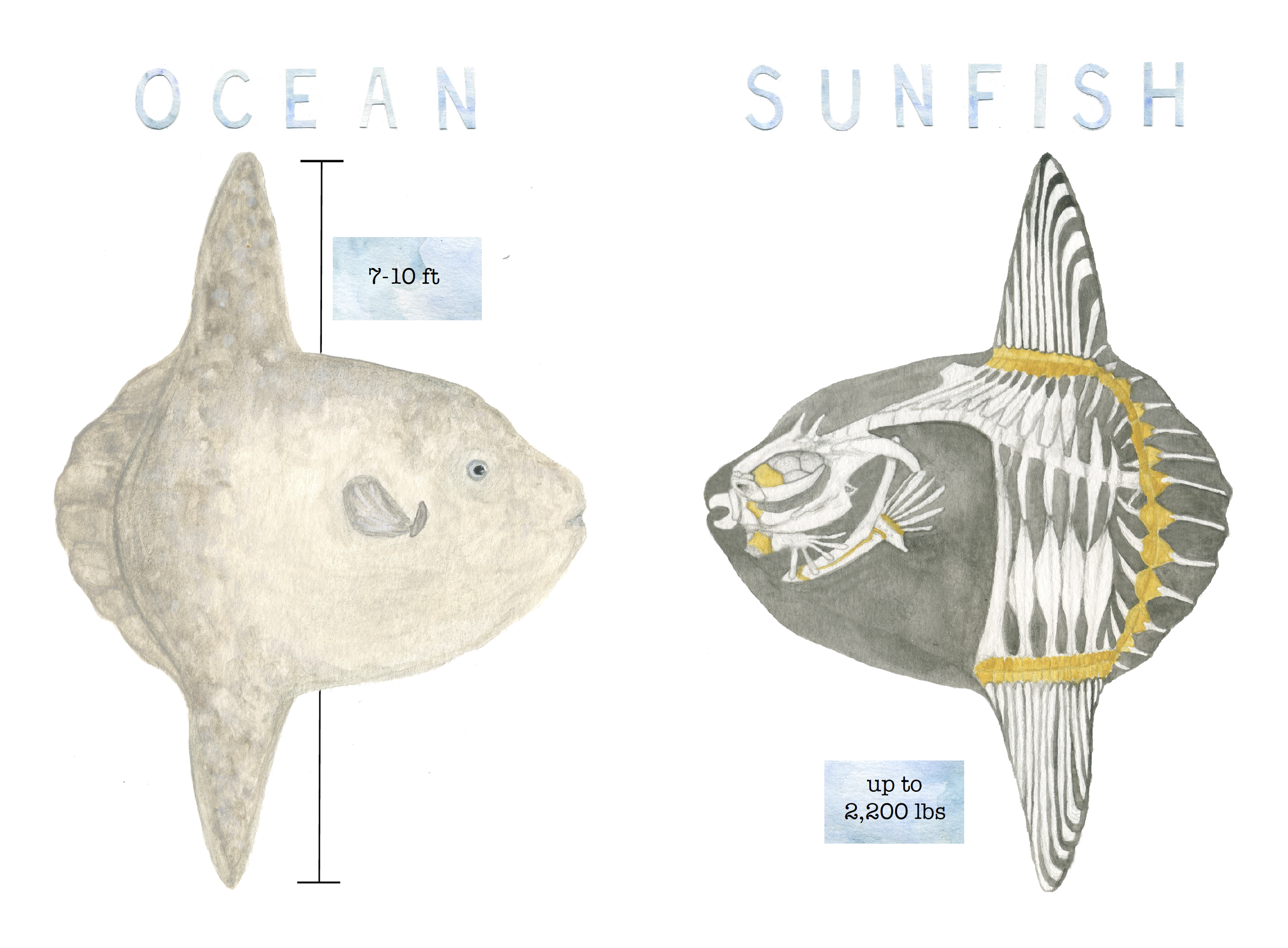 Screen Shot 2020-05-29 at 6.35.35 PM.png