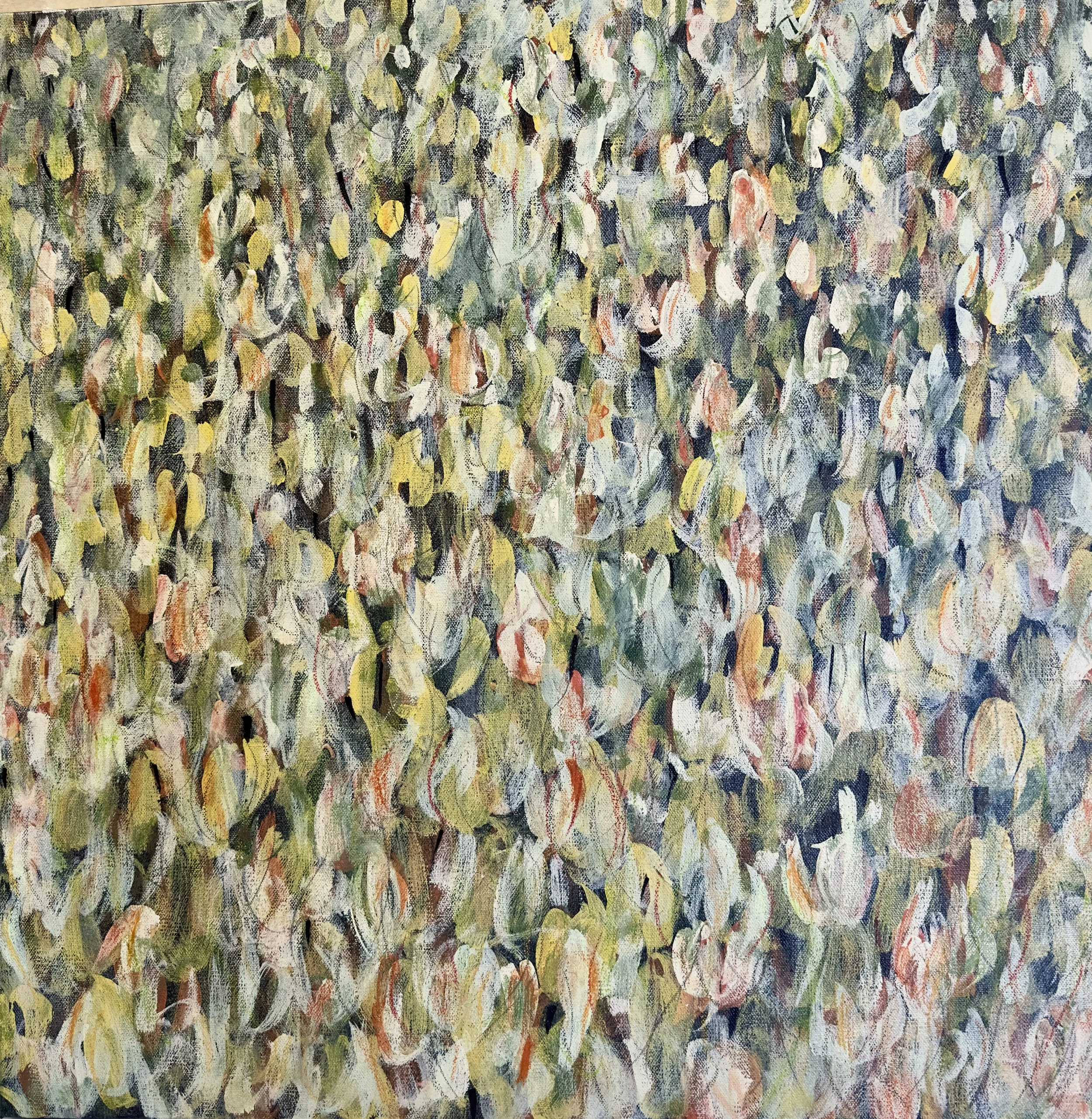 24" by 24" on canvas