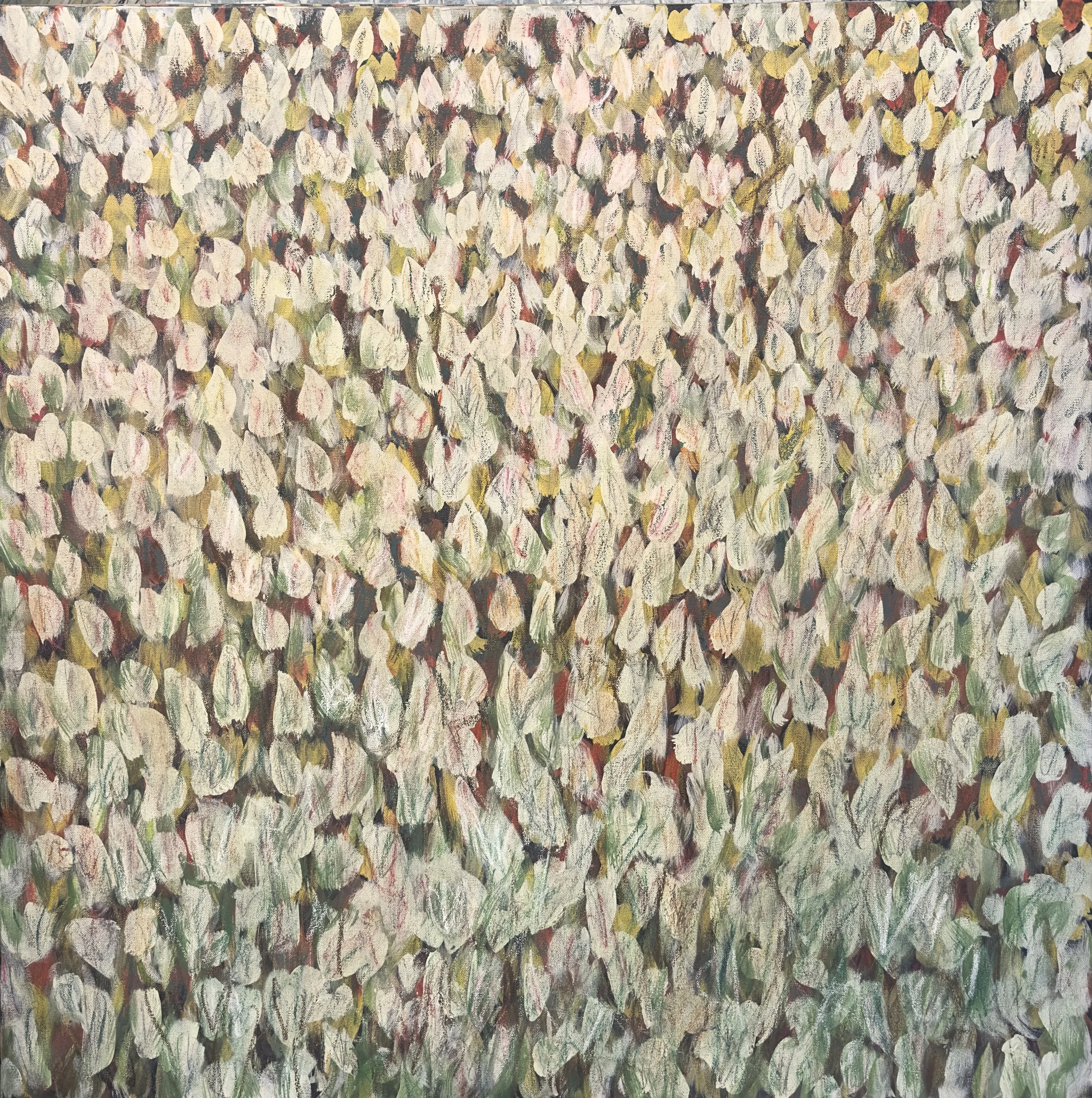 36" by 36" on canvas