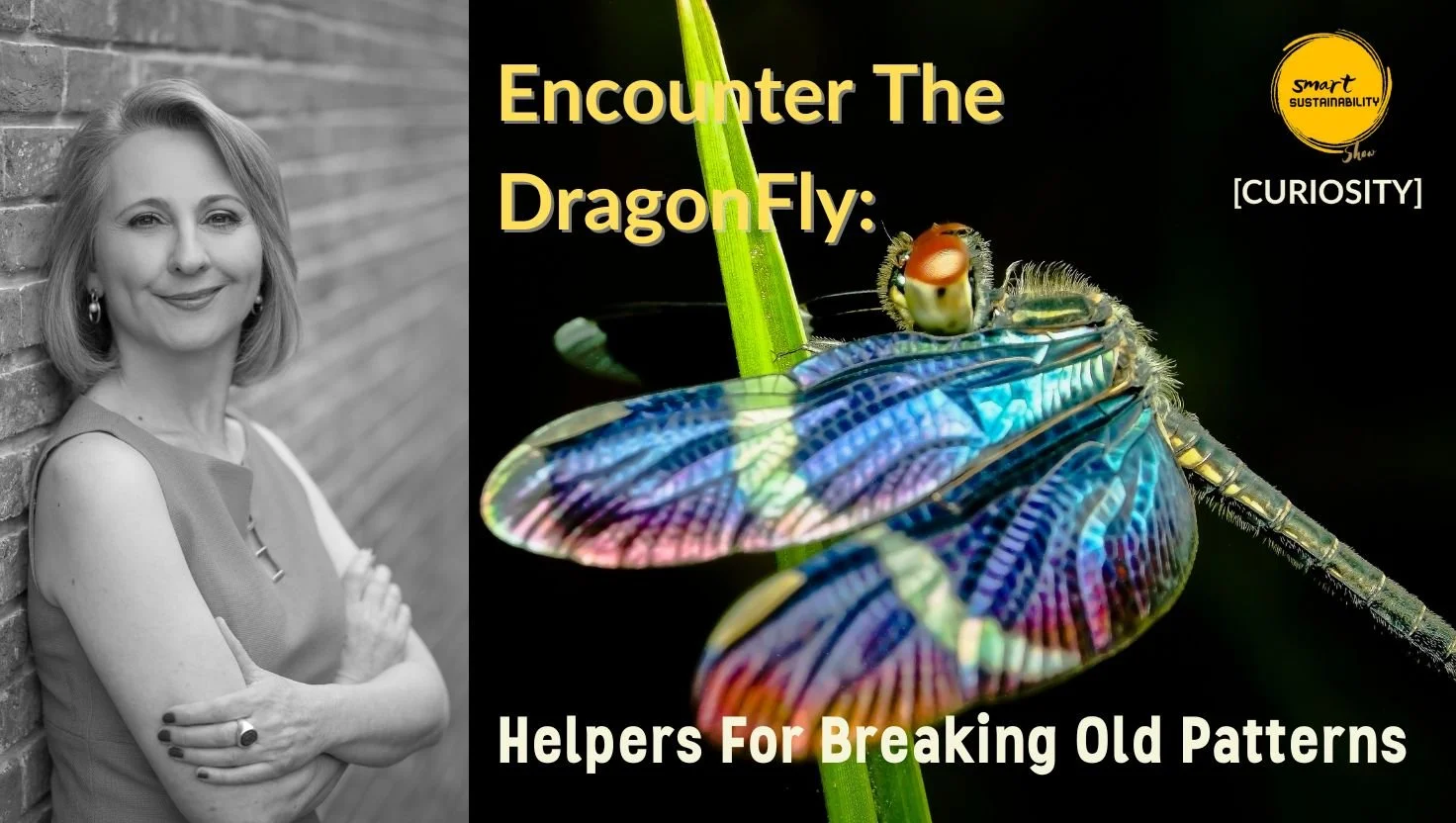 Dragon Fly Breaking Old Patterns.jpg