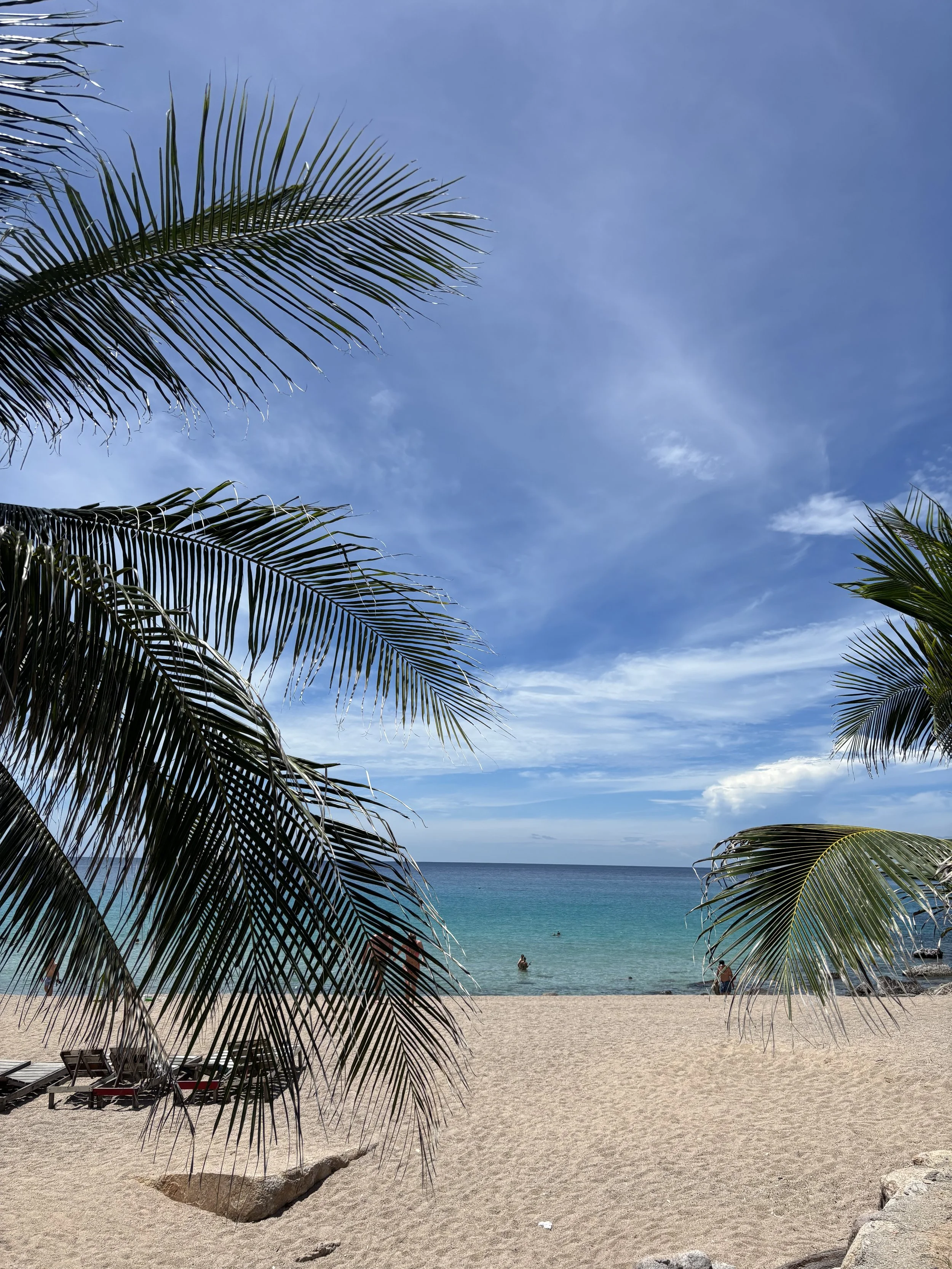 Beach with palm trees, sandy shore, turquoise ocean, and blue sky with clouds.
