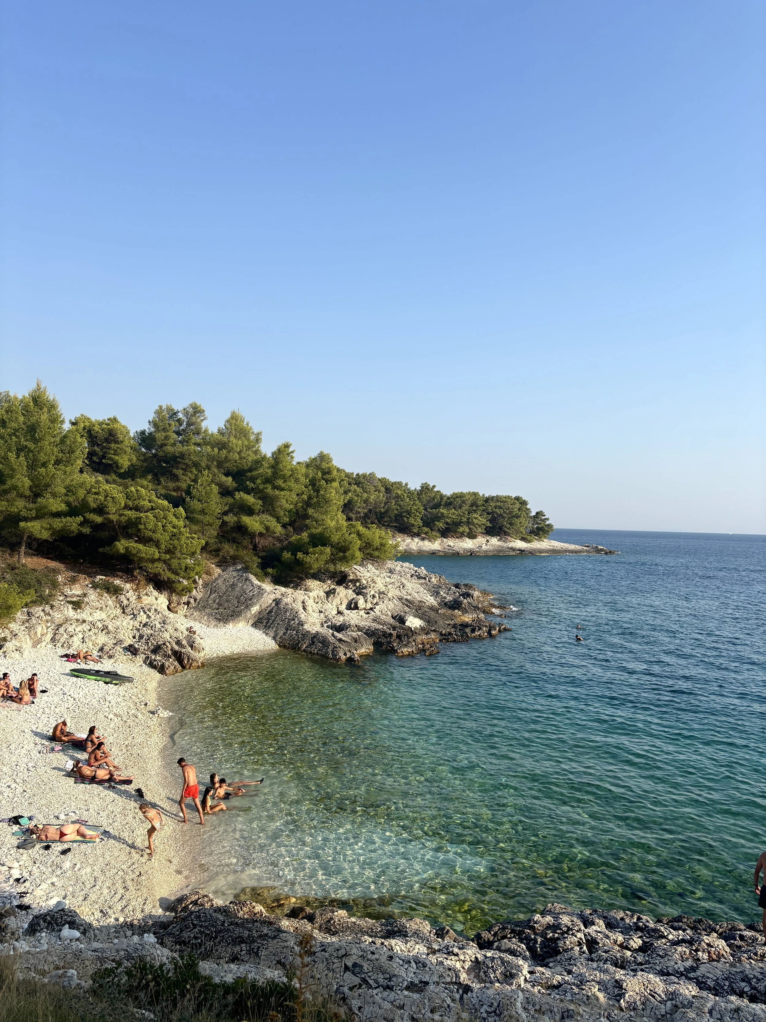 People relaxing on a rocky beach with green trees along the shoreline and calm blue sea under a clear sky.