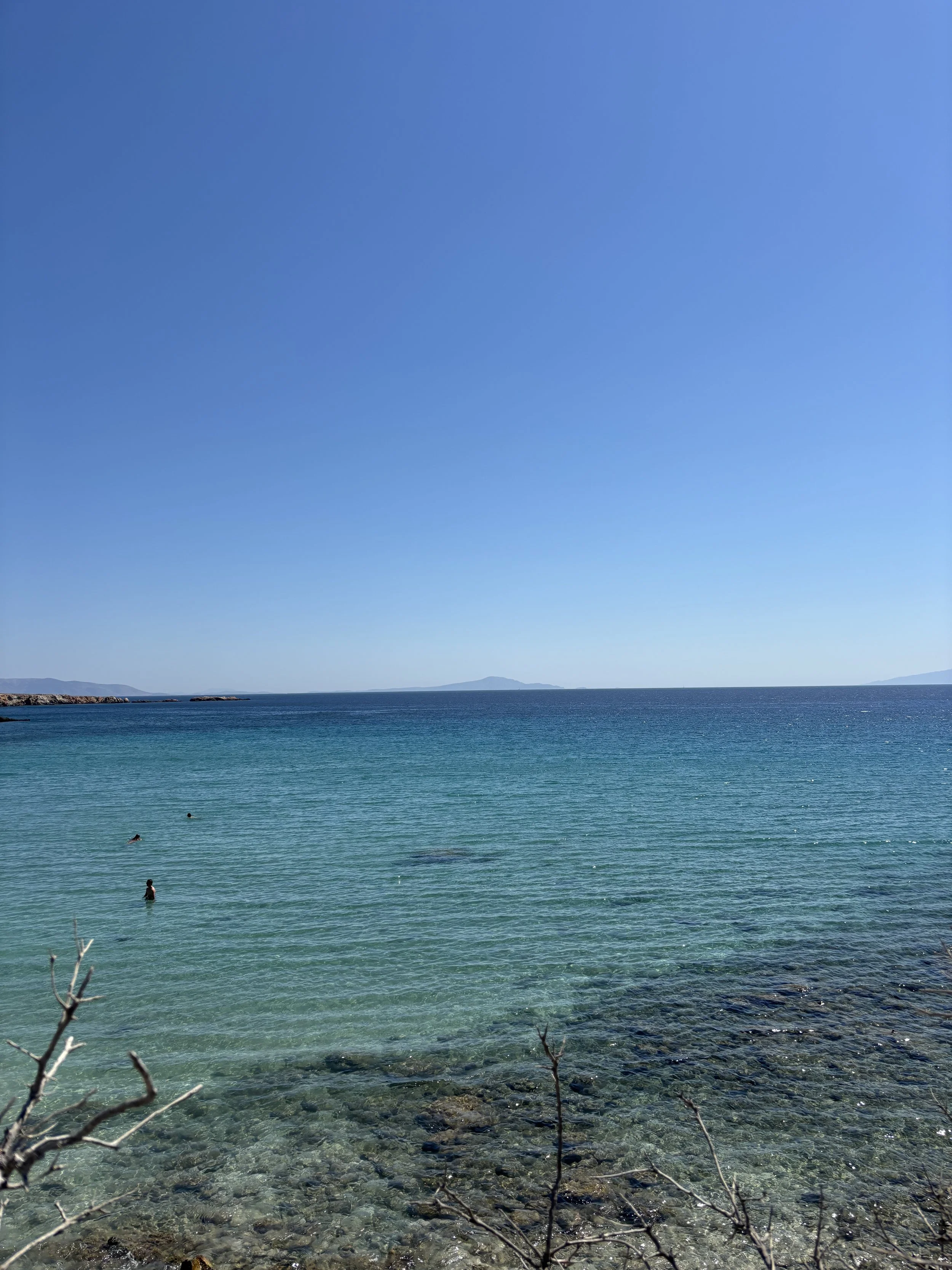 Calm ocean water with a few swimmers, clear sky, distant shoreline, and rocky foreground with some branches.