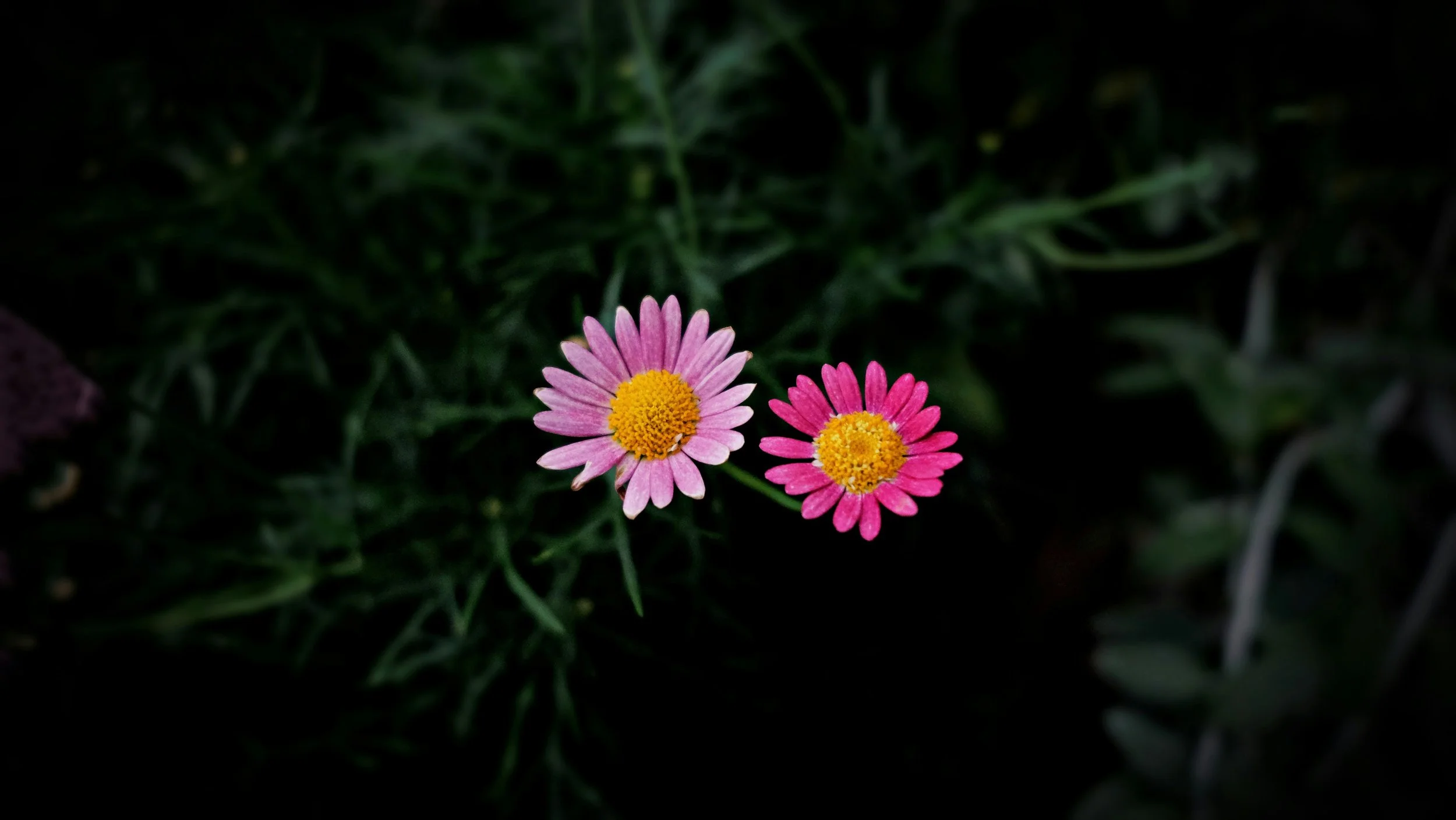 Conceptual image reflecting insecurity in relationships and emotional safety.