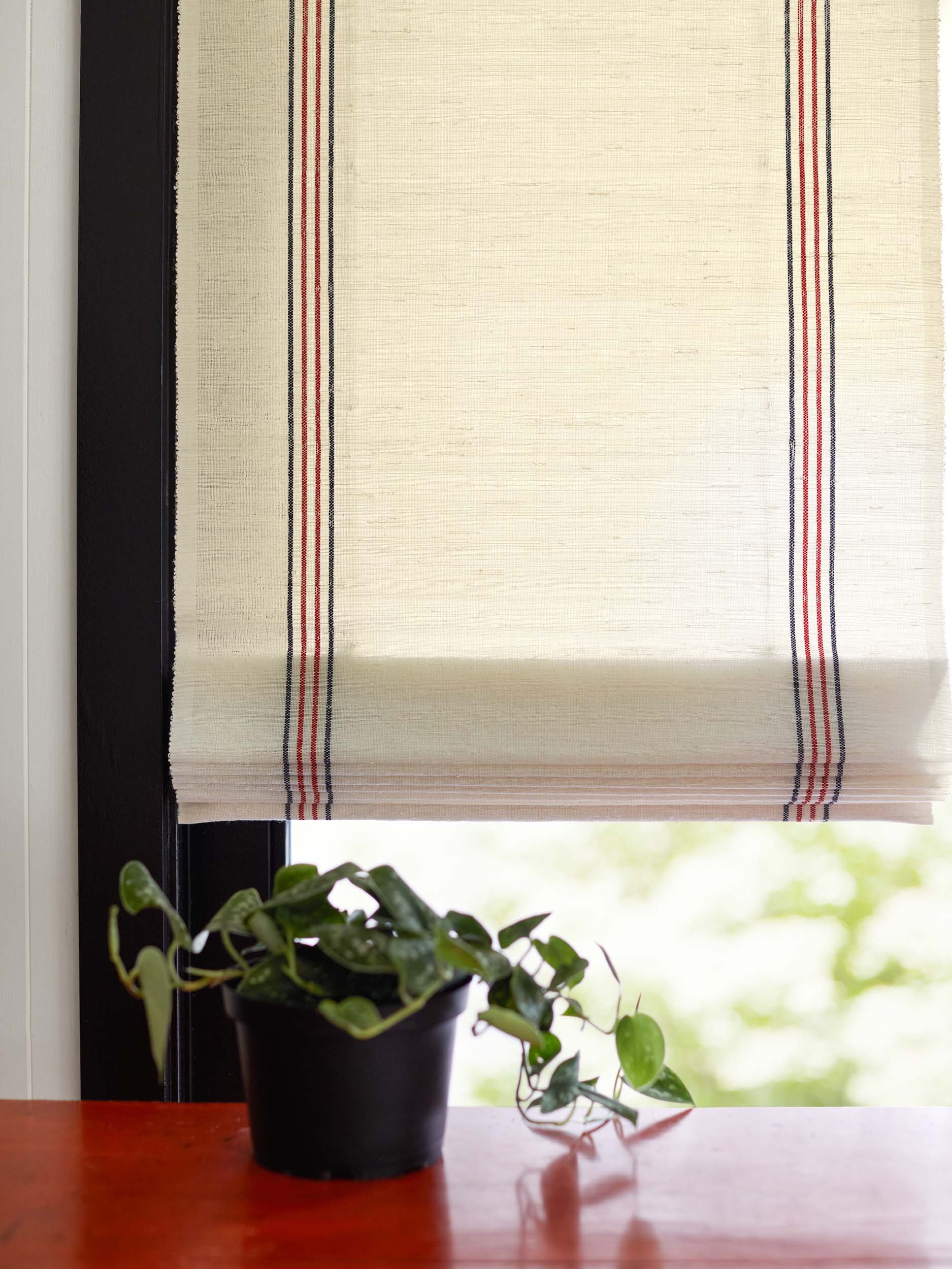 Window with Roman shade featuring red and blue stripes, with a potted plant on a nearby surface.