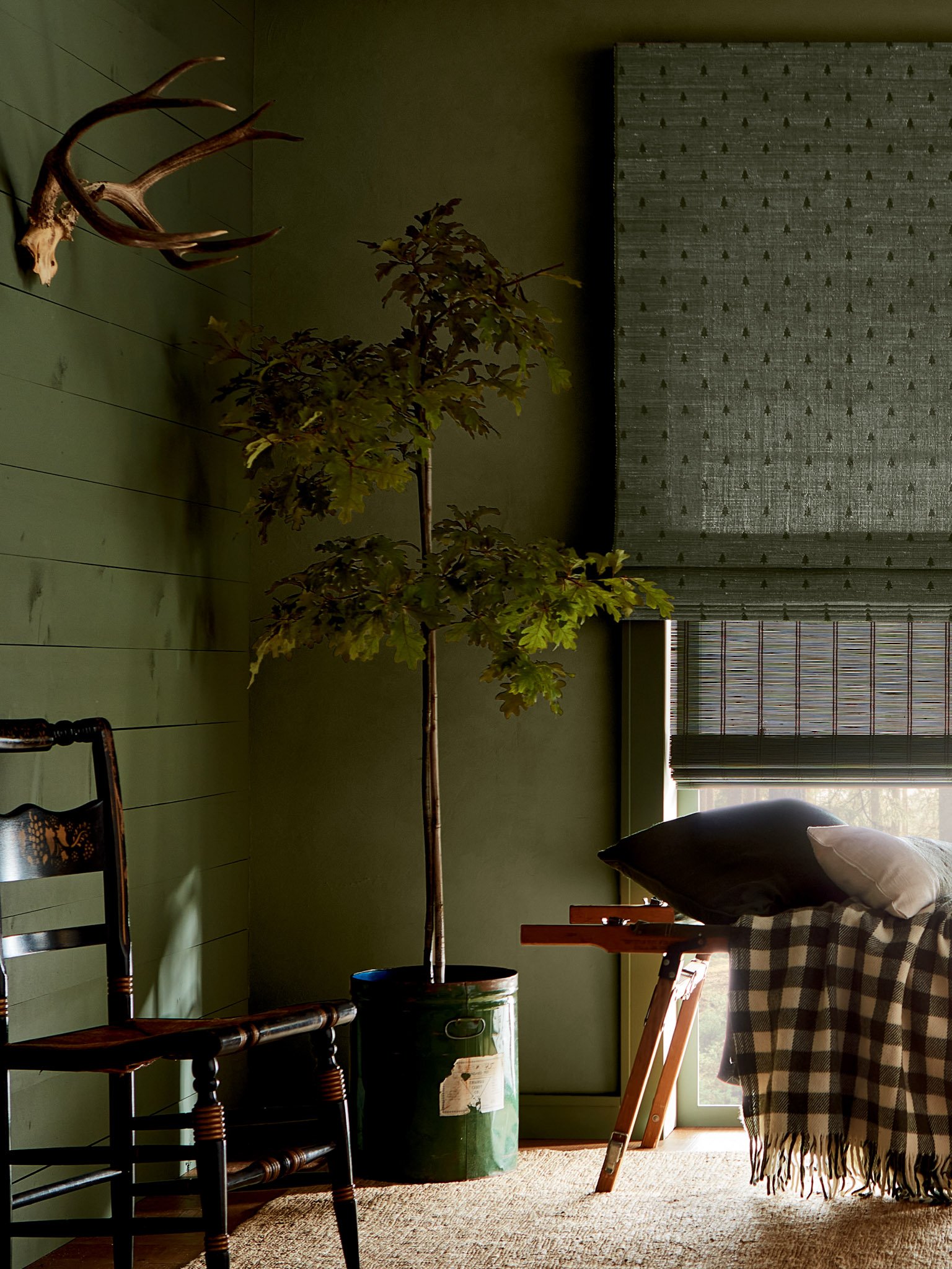 Interior room with green walls, a mounted antler, an indoor tree in a green can, a wooden chair, a plaid blanket on a bench, and a window with a green shade.