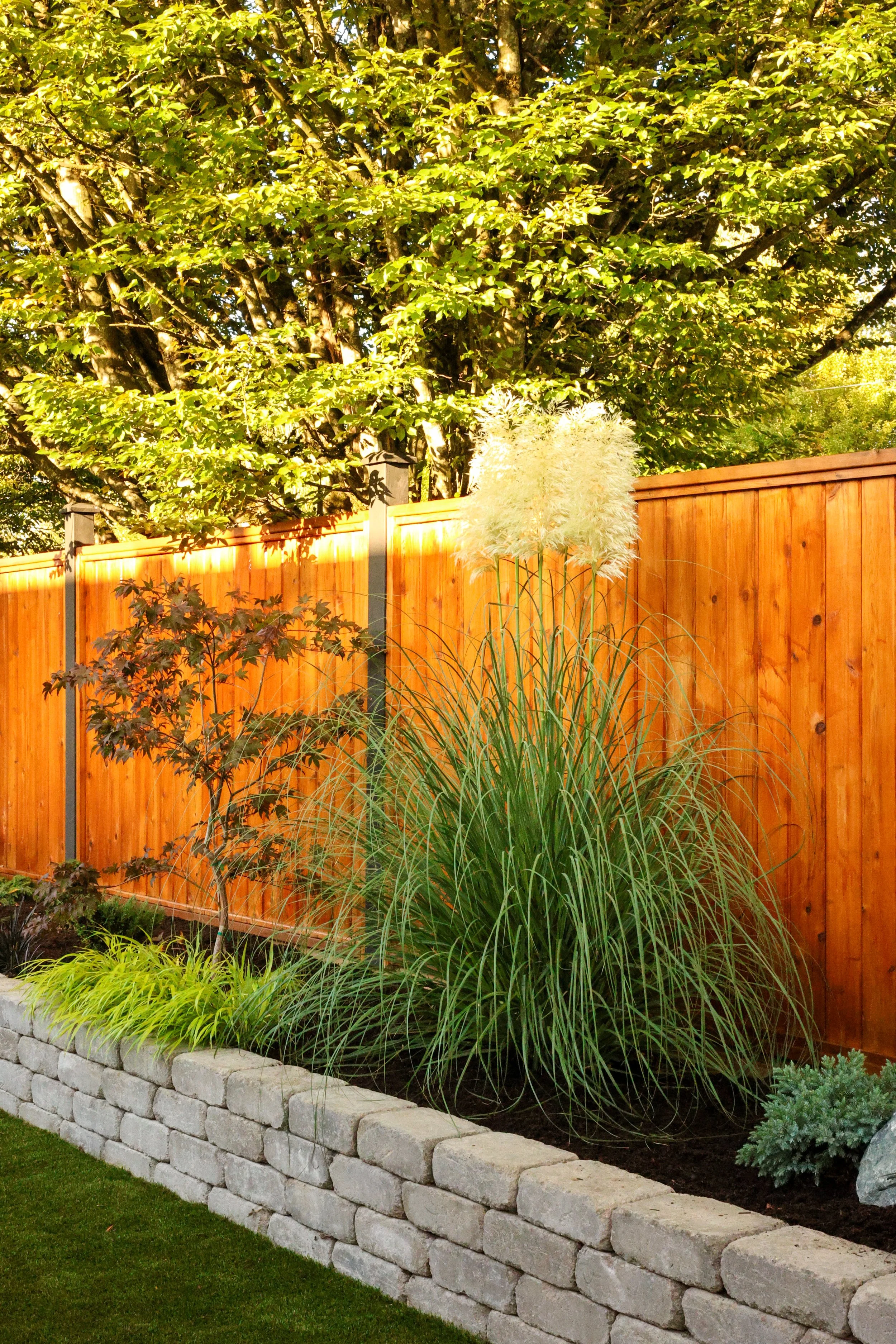 A landscaped backyard with a stone border, various plants, a wooden privacy fence, and a large leafy tree in the background.
