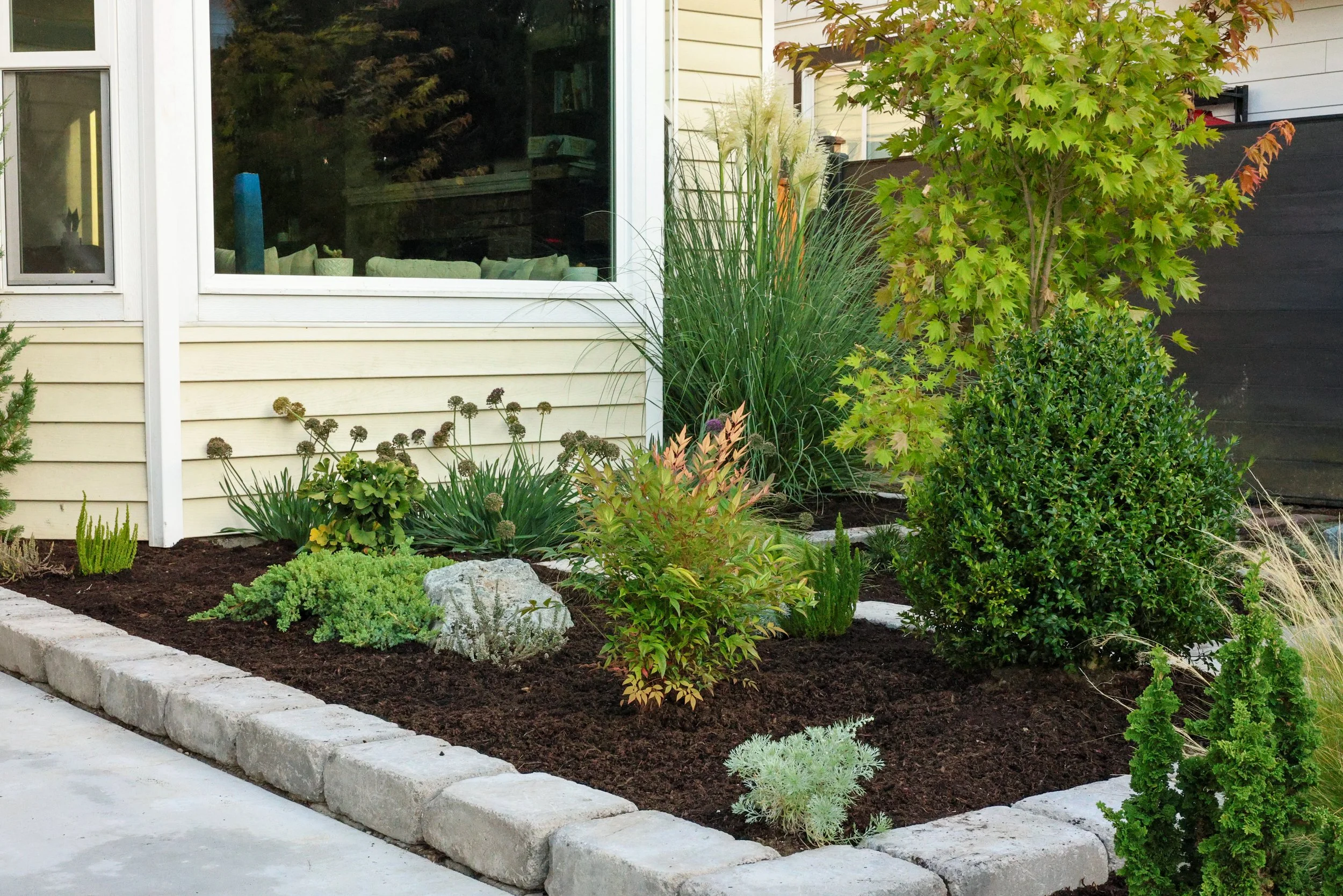 A landscaped garden bed with various plants, shrubs, and a small tree, bordered by concrete pavers, next to a house with yellow siding and a window.
