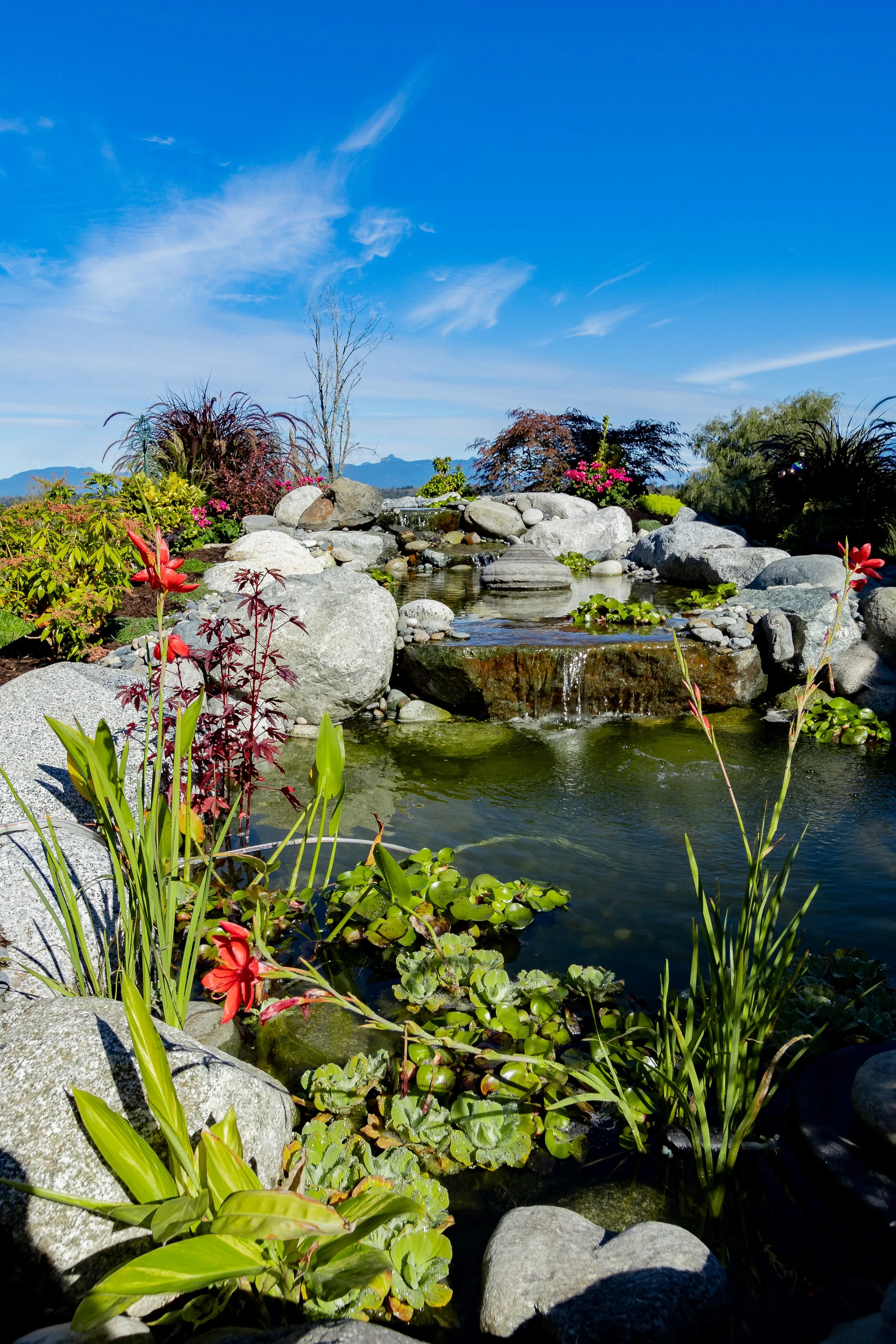 westviewlandscape-045.jpg