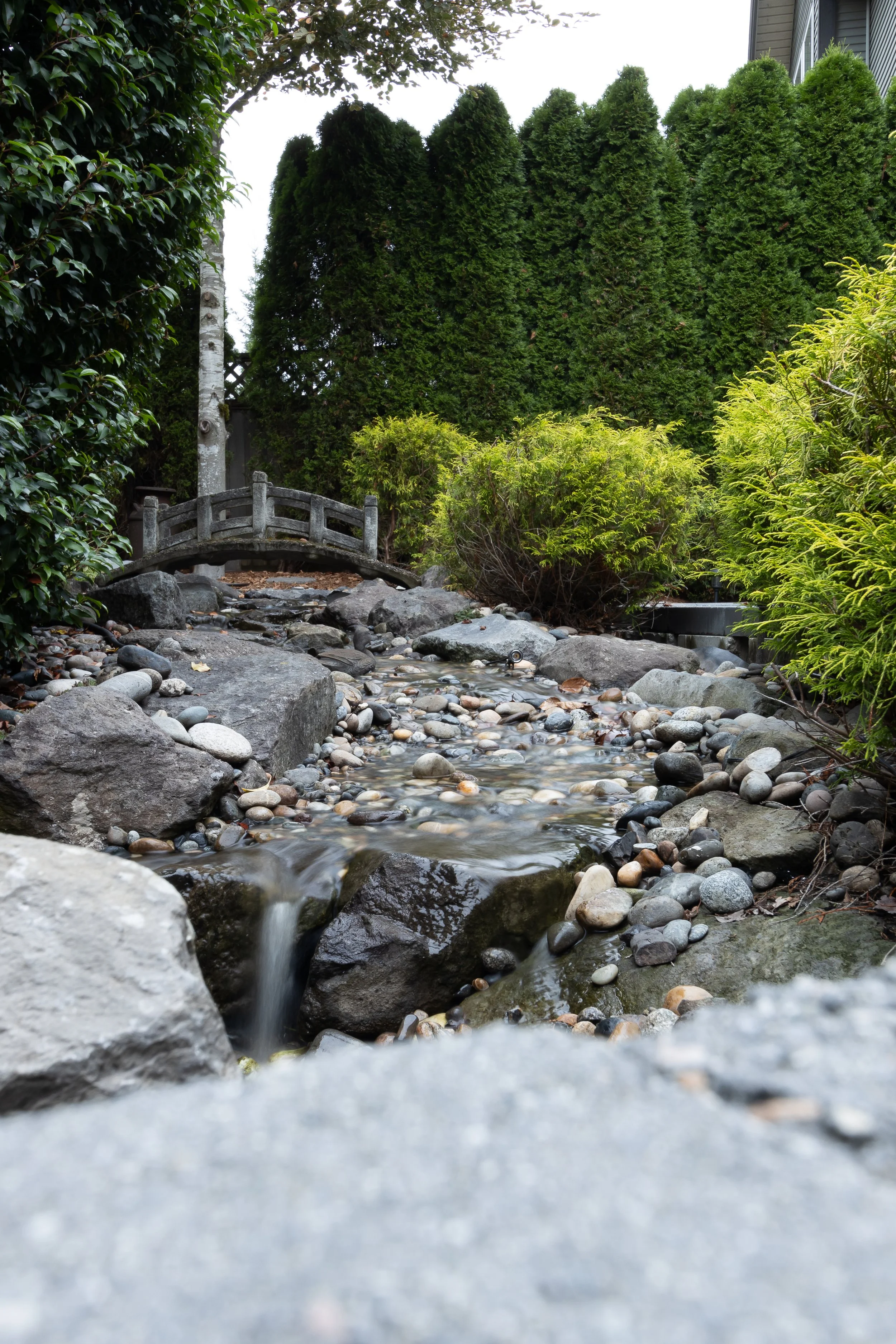 A small decorative creek with water flowing over rocks, surrounded by green bushes and tall trees in a landscaped garden.