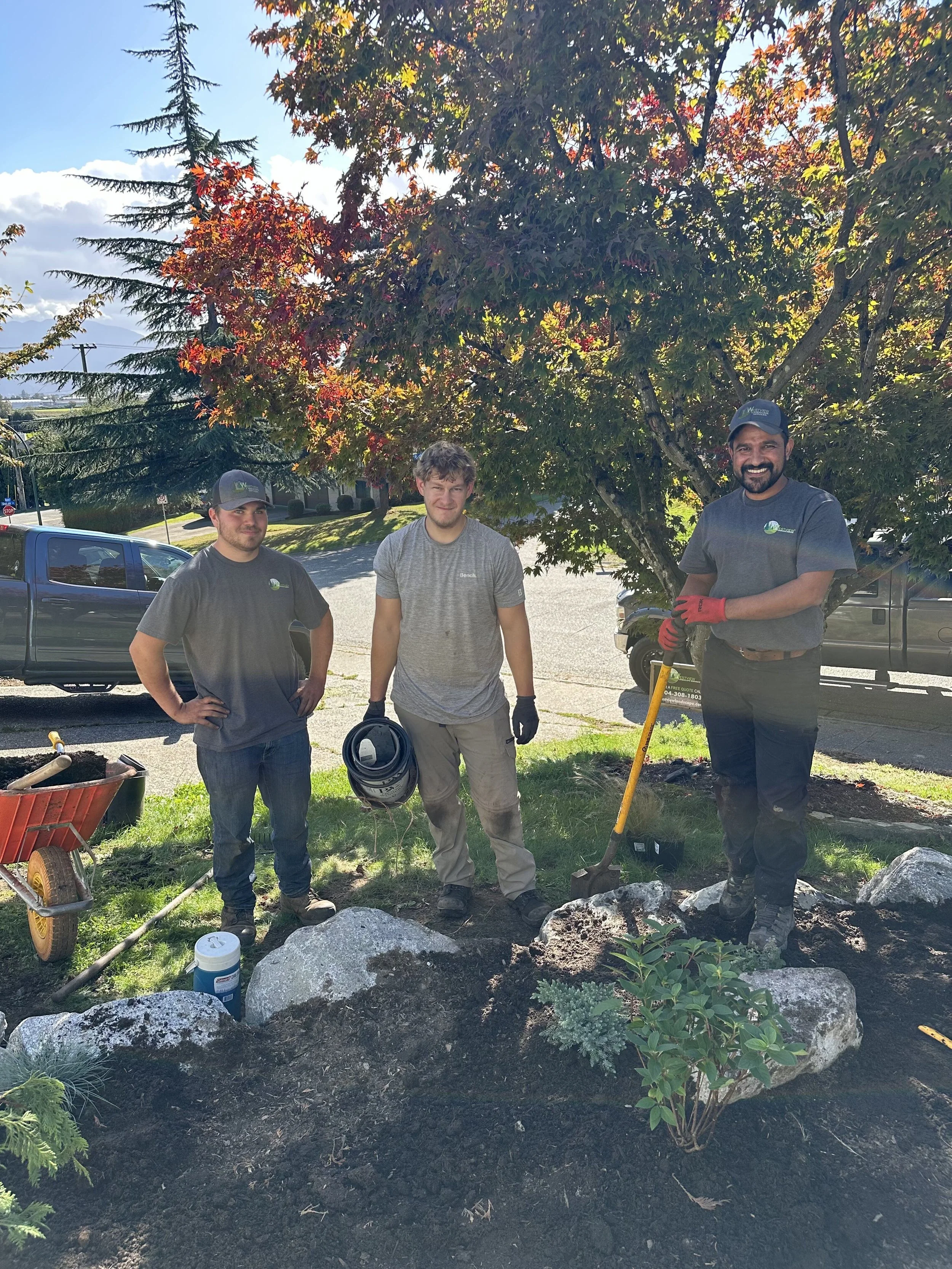 Three men planting a small shrub in a garden surrounded by large rocks, with trees and parked vehicles in the background, under a bright, sunny sky.