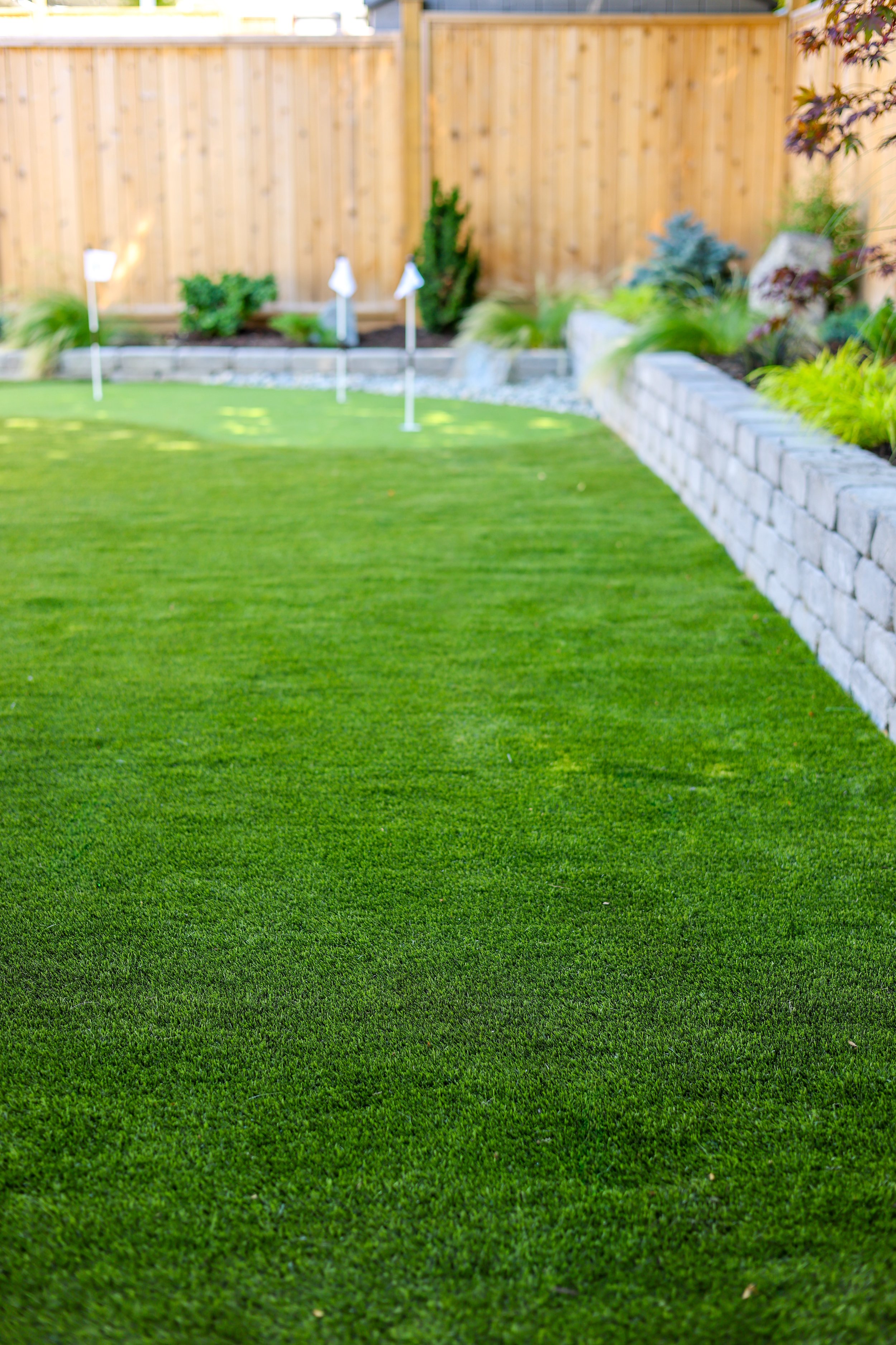 Copy of IMG_3204.JPG