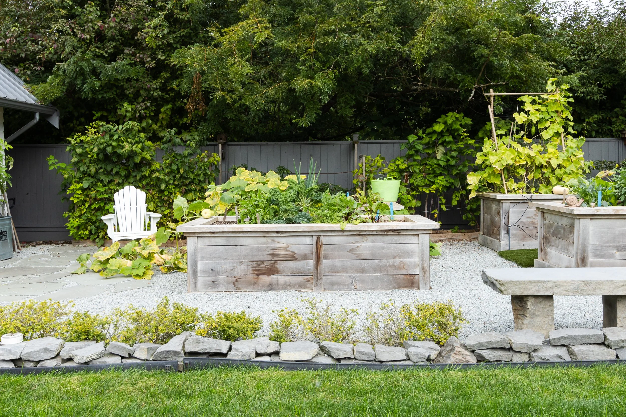 A backyard garden with raised wooden garden beds filled with various vegetables and plants. There is a white Adirondack chair on the left, shrubbery and trees in the background, and a small stone wall at the front. A green watering can is visible on one of the garden beds.